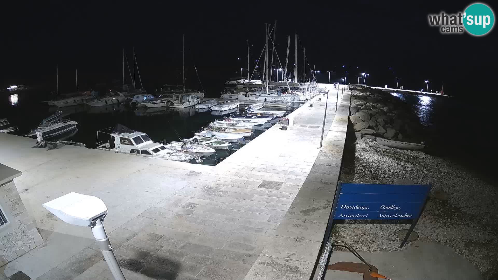 Webcam Isola di Unije – Esplora la bellezza della gemma nascosta della Croazia