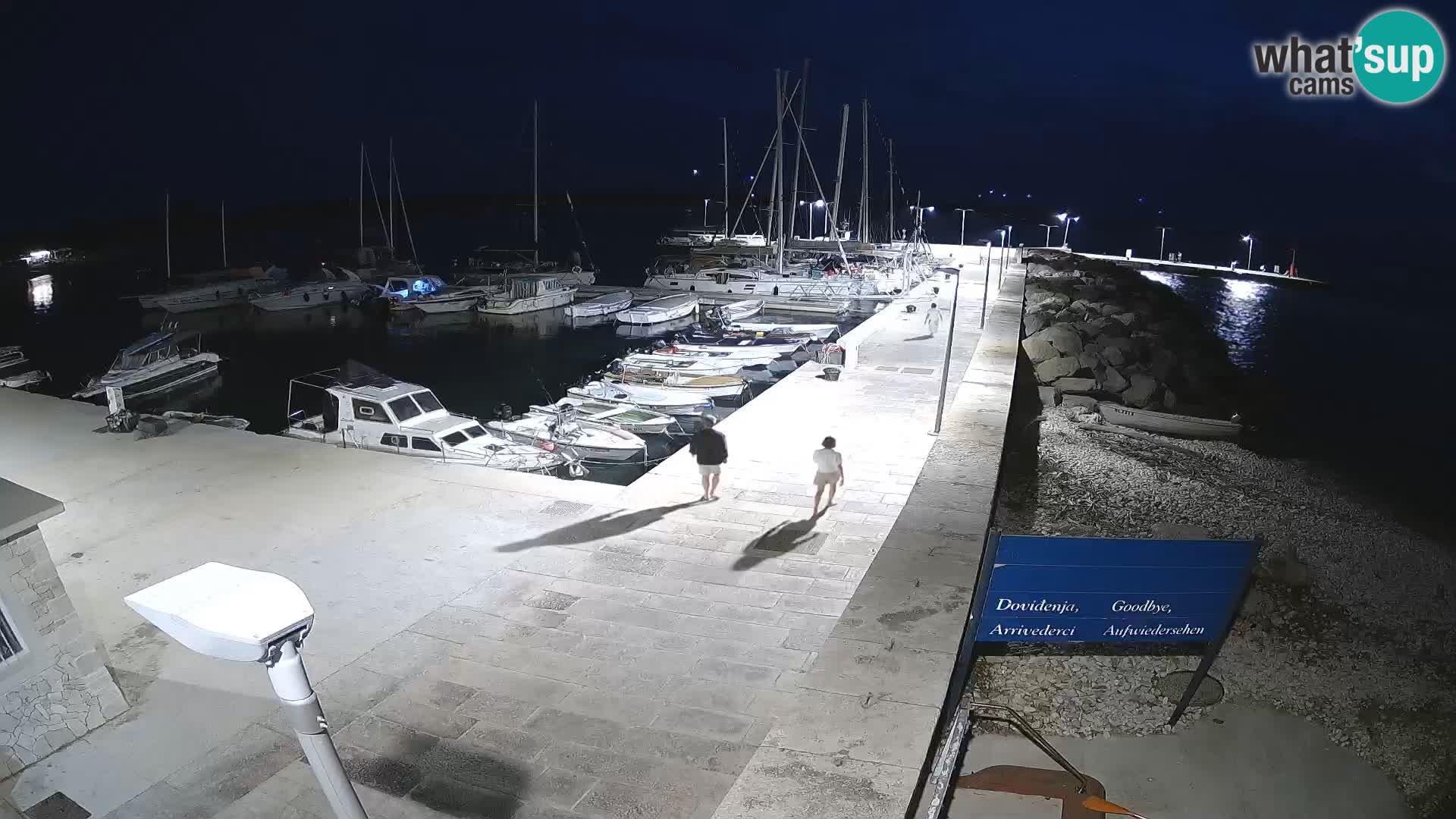 Webcam Isola di Unije – Esplora la bellezza della gemma nascosta della Croazia