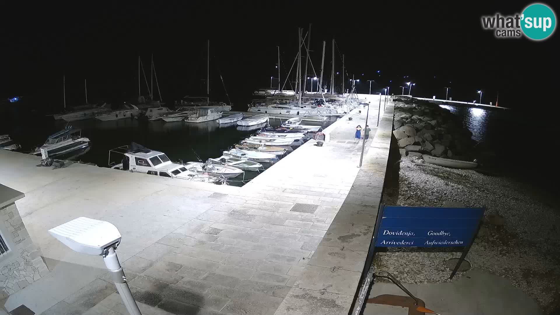 Cámara web de la isla de Unije: explore la belleza de la joya escondida de Croacia