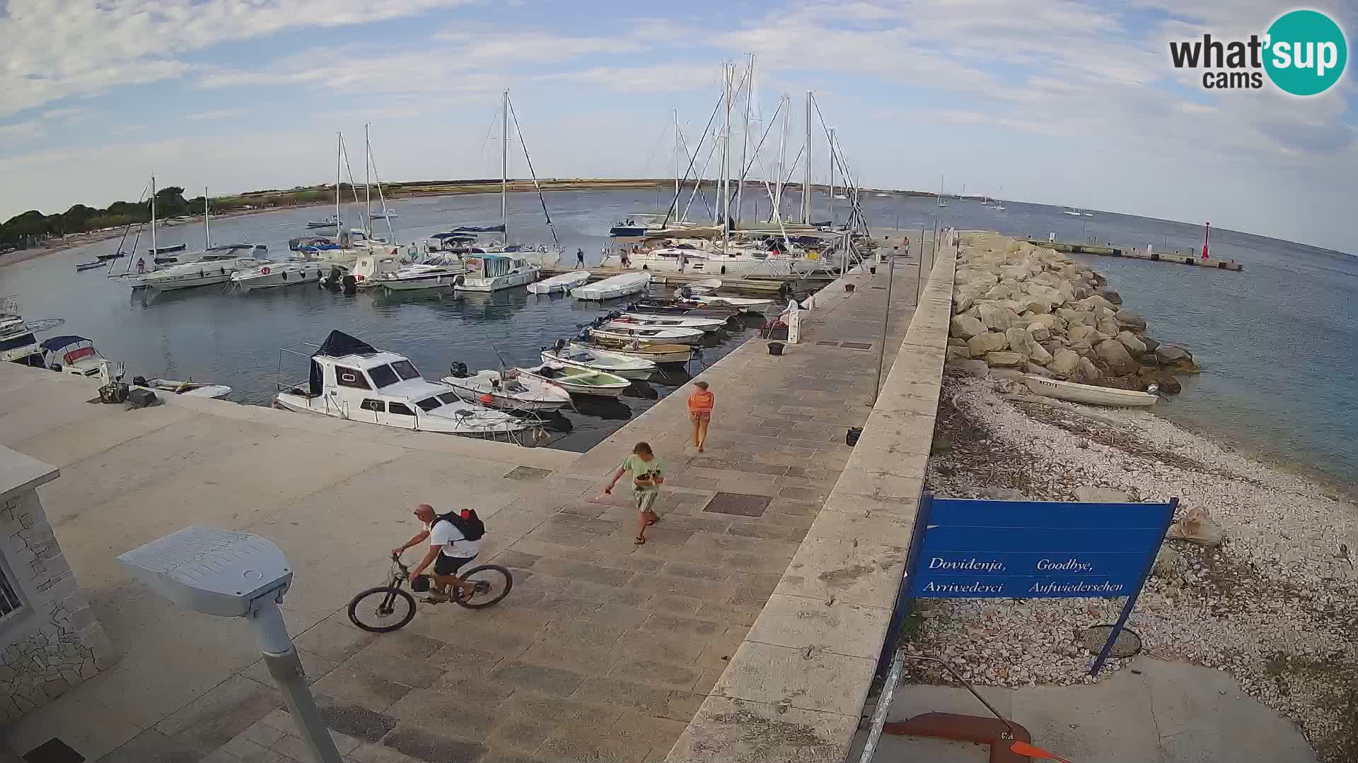 Webcam de l’île d’Unije – Explorez la beauté du joyau caché de la Croatie