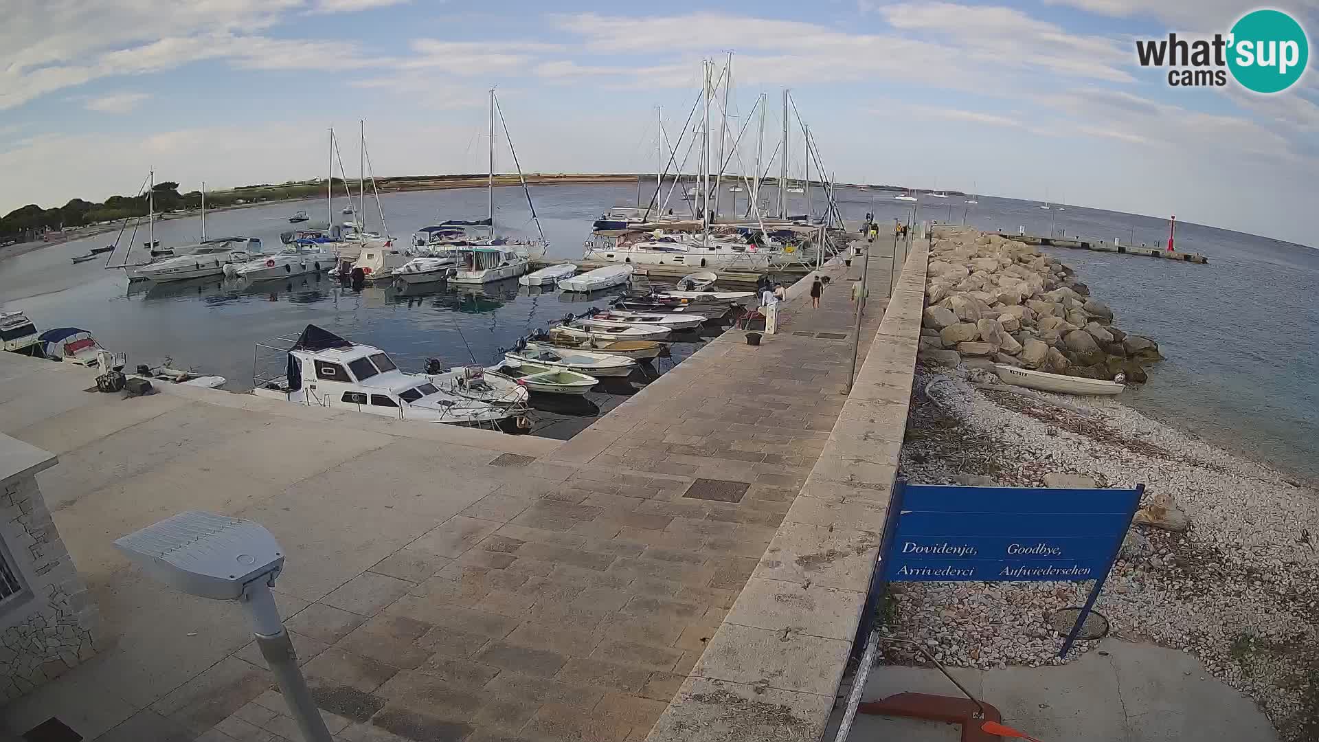 Cámara web de la isla de Unije: explore la belleza de la joya escondida de Croacia