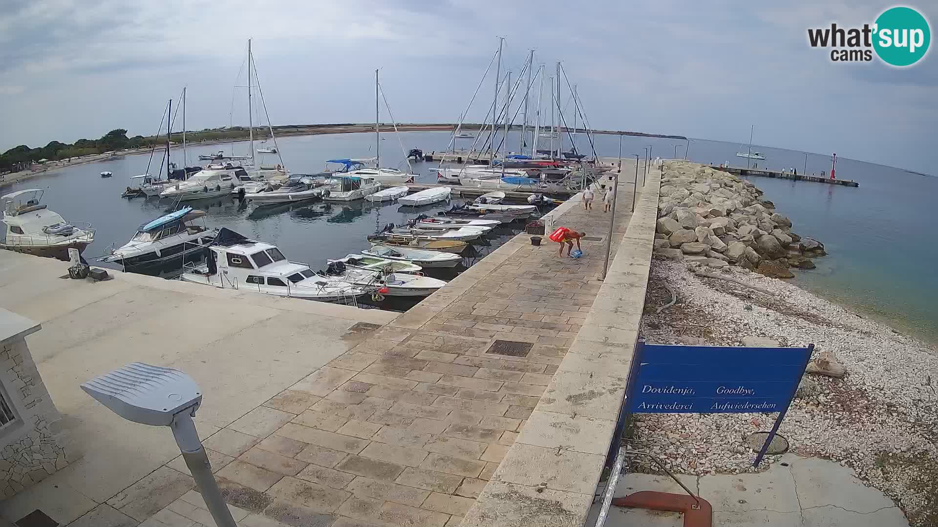 Webcam Isola di Unije – Esplora la bellezza della gemma nascosta della Croazia