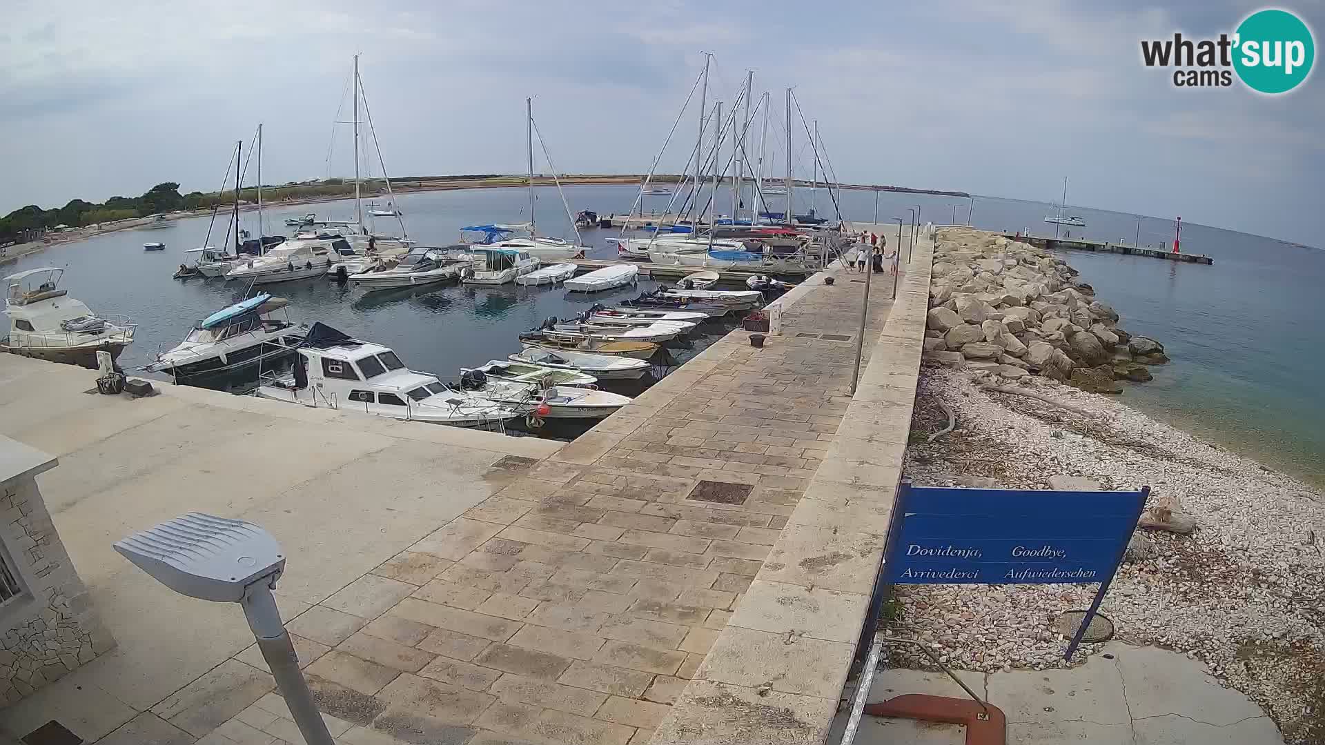 Cámara web de la isla de Unije: explore la belleza de la joya escondida de Croacia