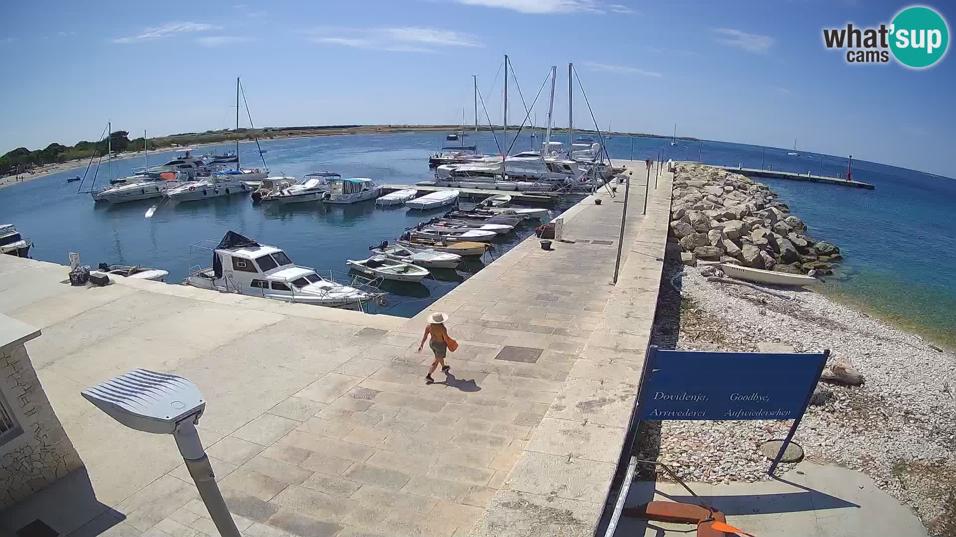 Cámara web de la isla de Unije: explore la belleza de la joya escondida de Croacia