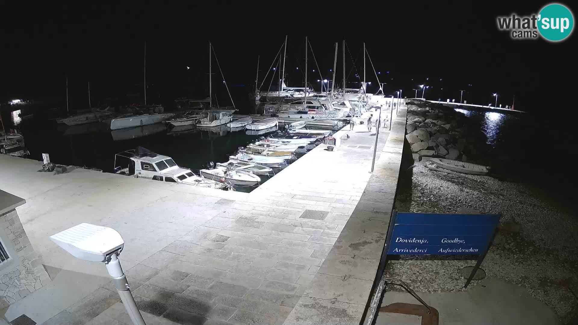 Webcam Isola di Unije – Esplora la bellezza della gemma nascosta della Croazia