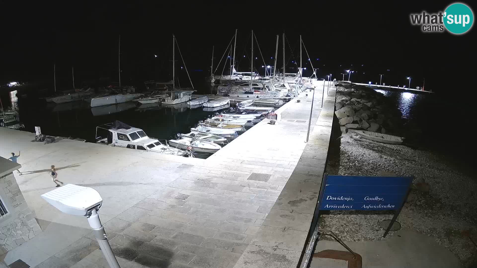 Insel Unije Webcam – Entdecken Sie die Schönheit von Kroatiens verstecktem Juwel