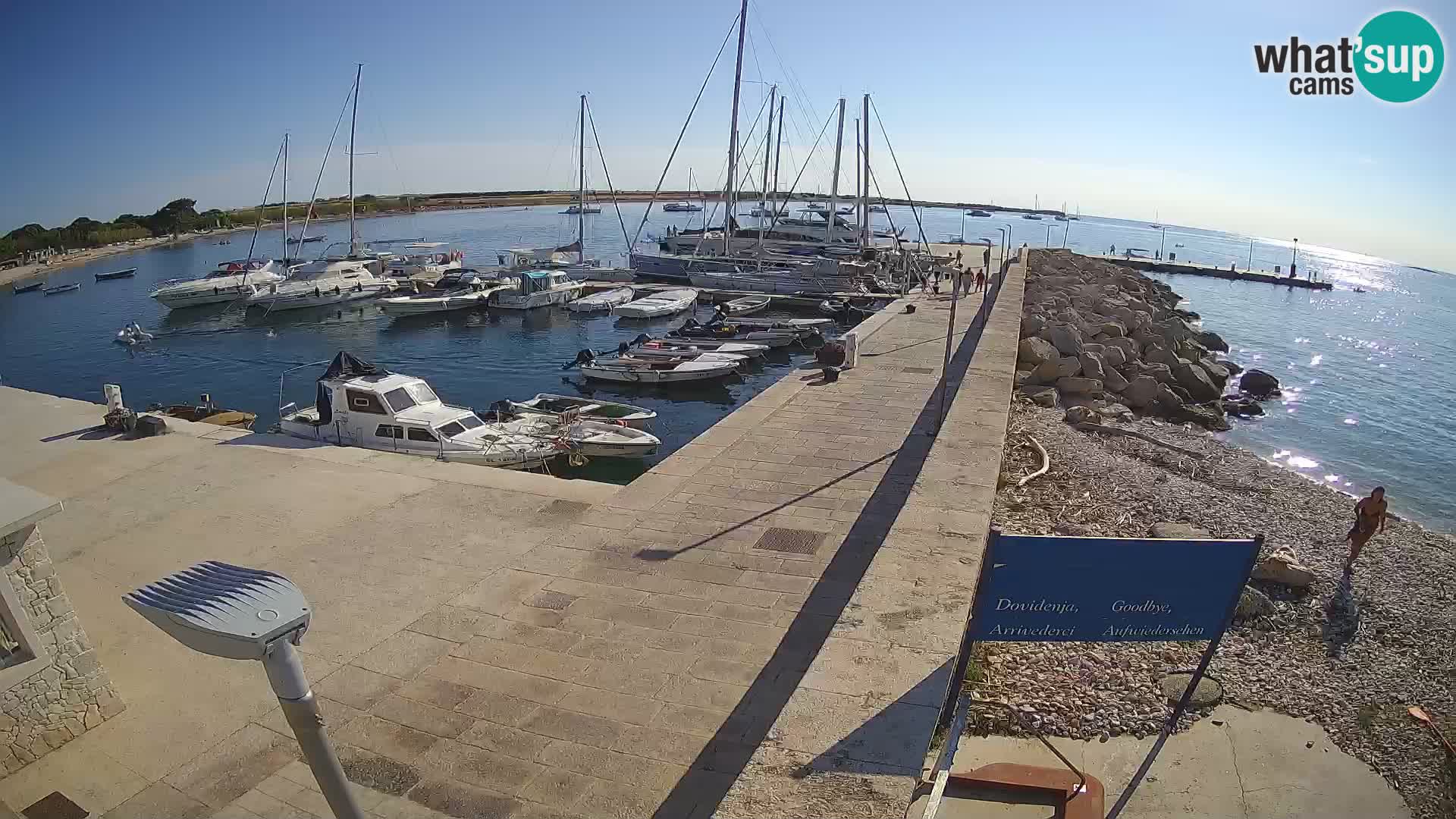 Cámara web de la isla de Unije: explore la belleza de la joya escondida de Croacia