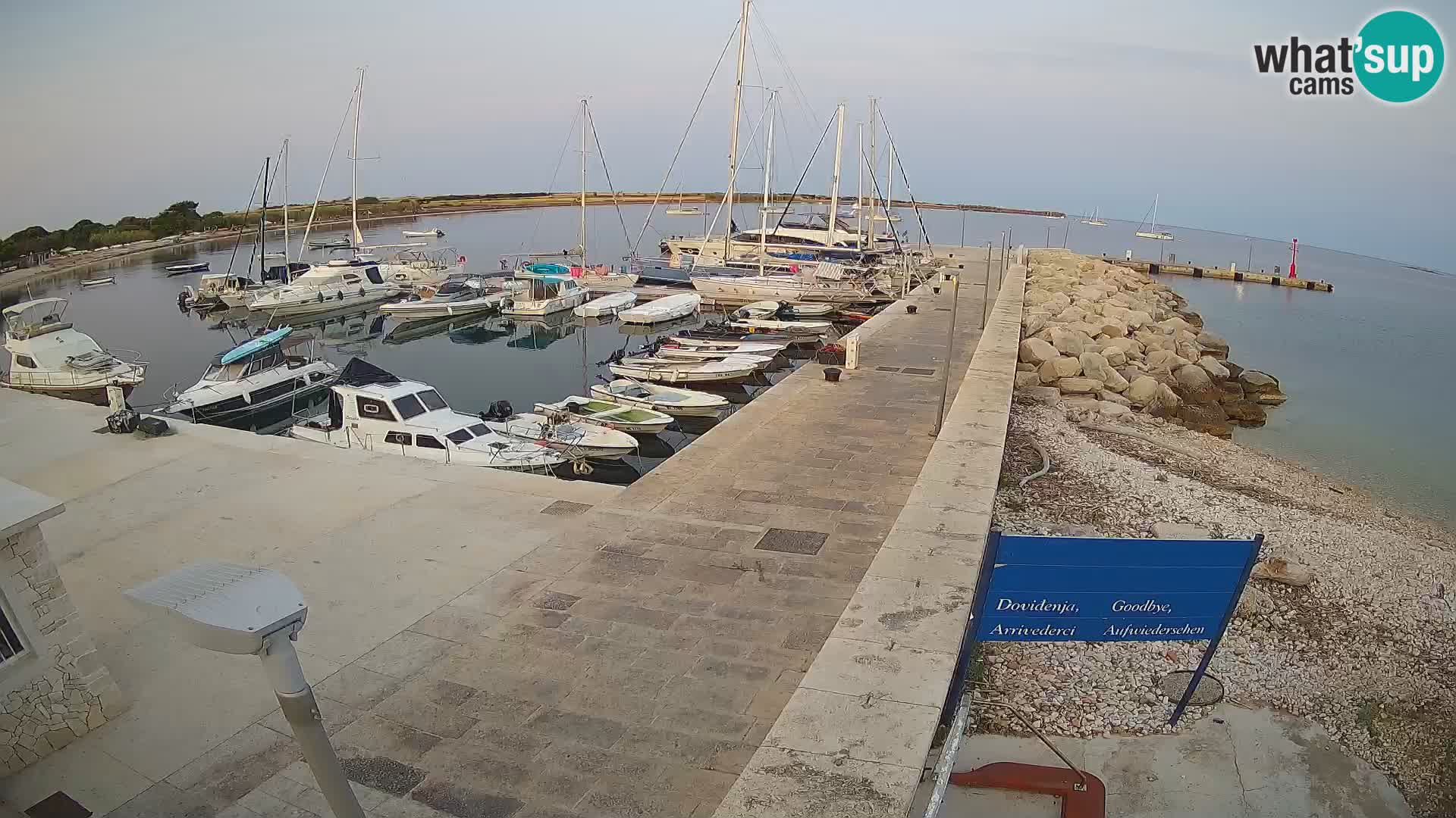 Webcam Isola di Unije – Esplora la bellezza della gemma nascosta della Croazia
