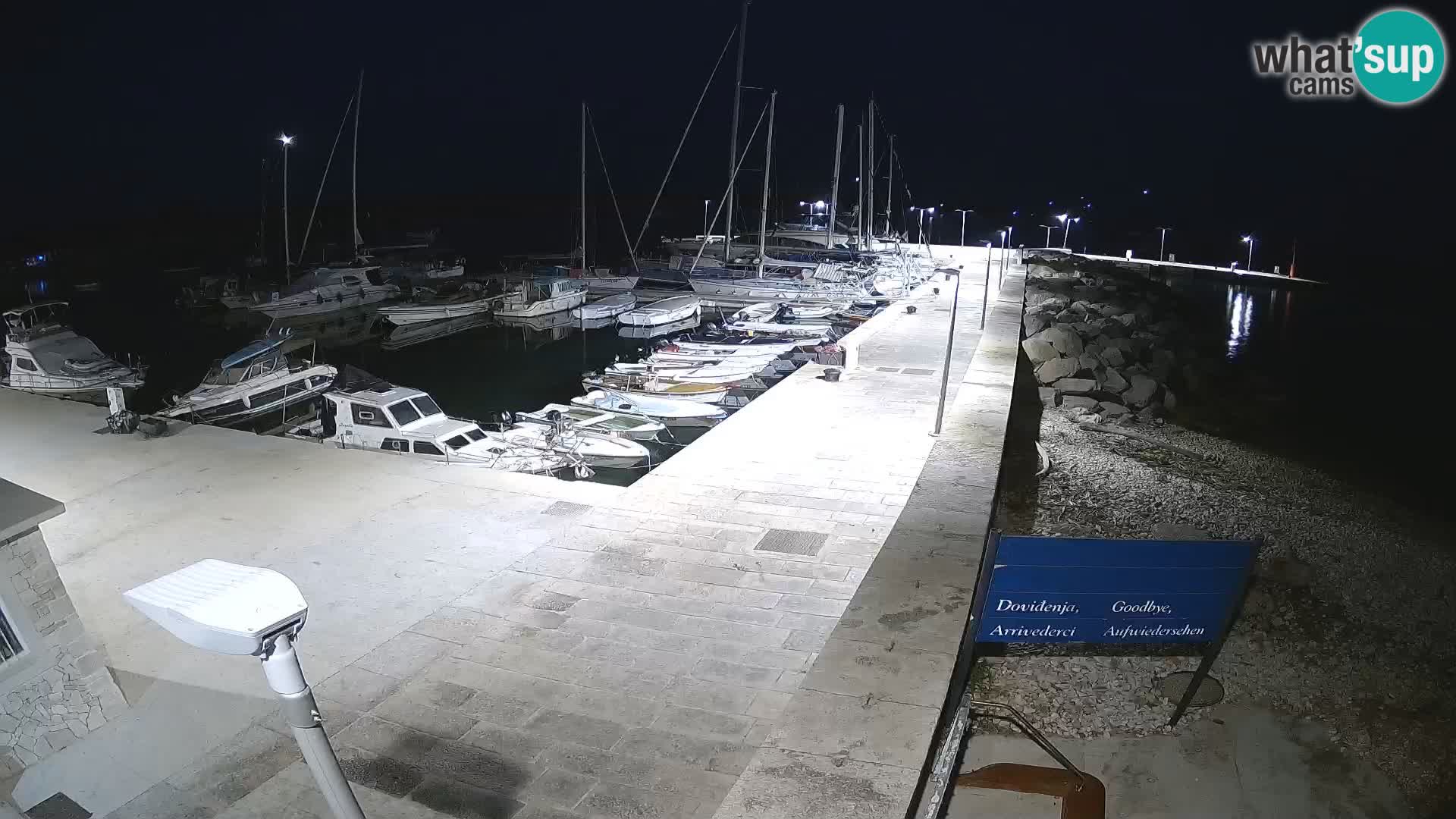 Webcam Isola di Unije – Esplora la bellezza della gemma nascosta della Croazia