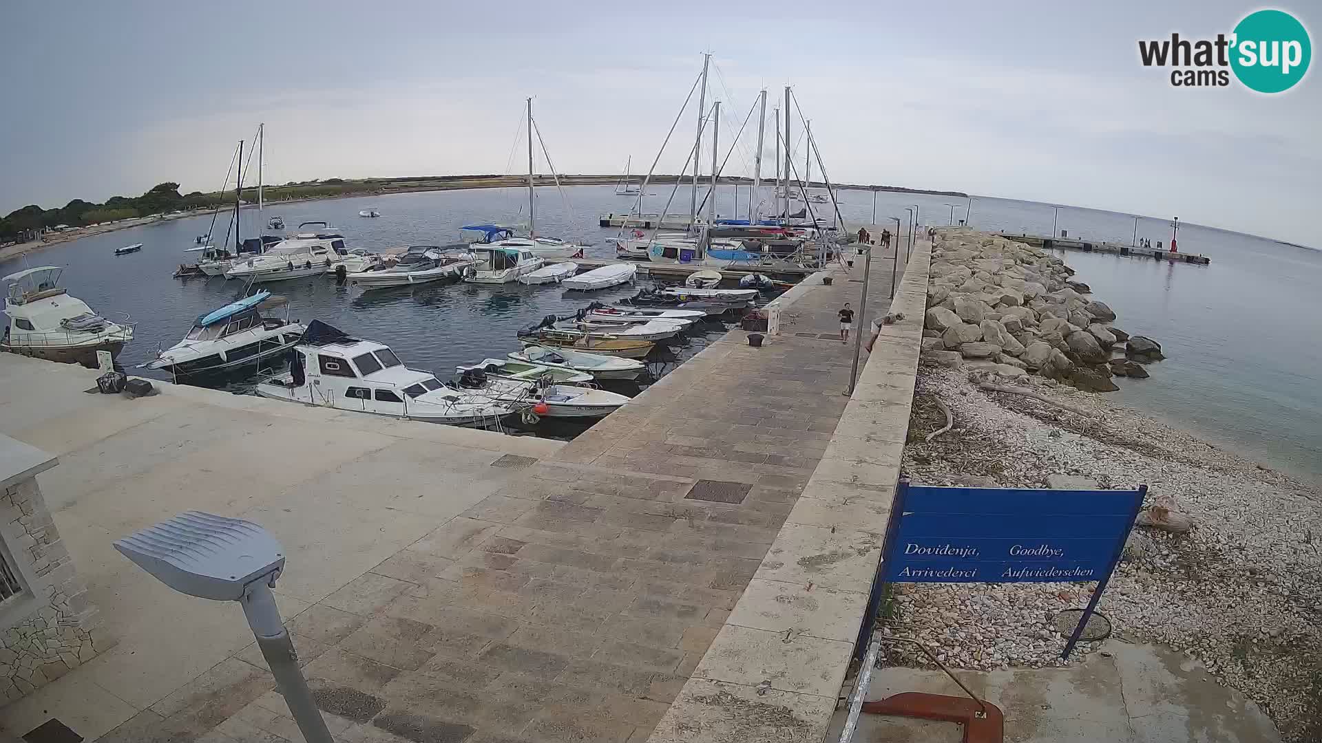 Webcam Isola di Unije – Esplora la bellezza della gemma nascosta della Croazia