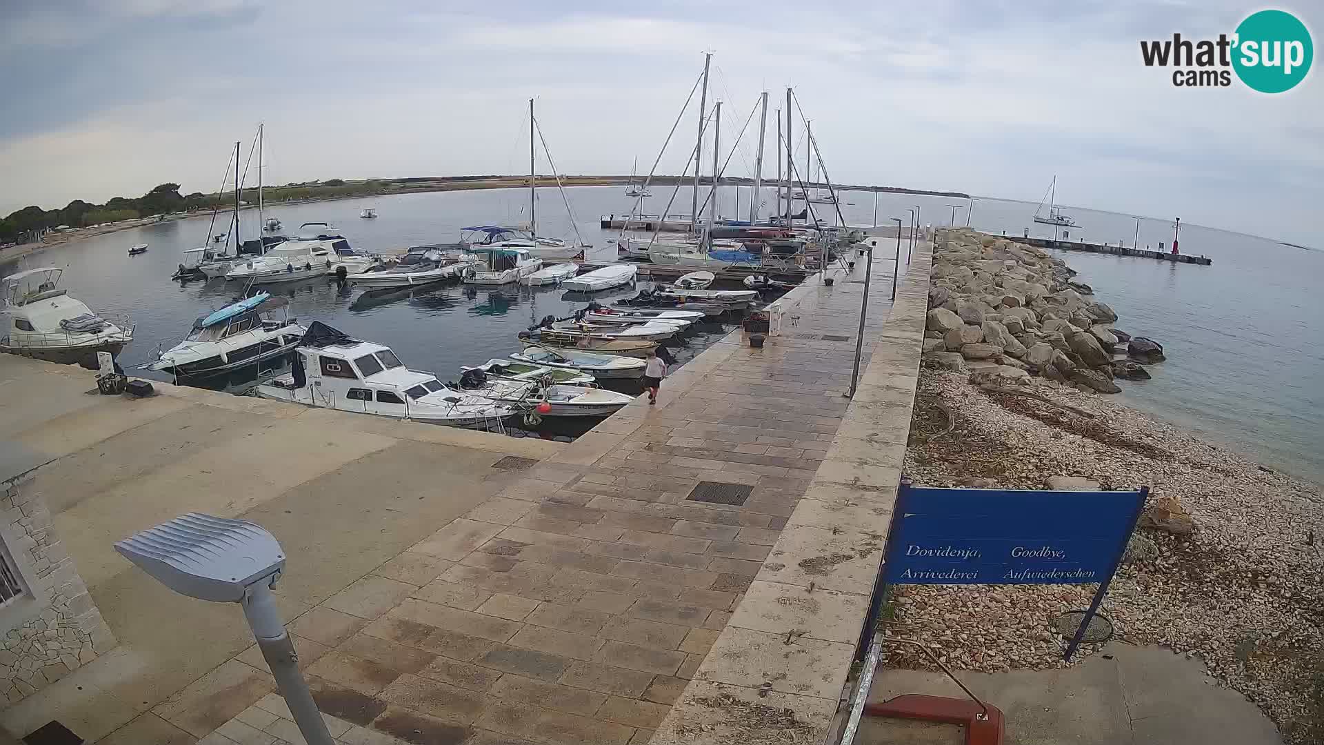 Webcam de l’île d’Unije – Explorez la beauté du joyau caché de la Croatie