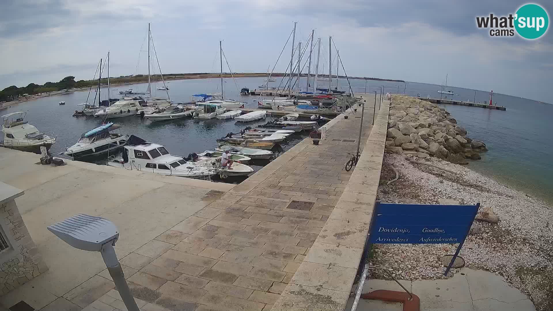 Webcam de l’île d’Unije – Explorez la beauté du joyau caché de la Croatie