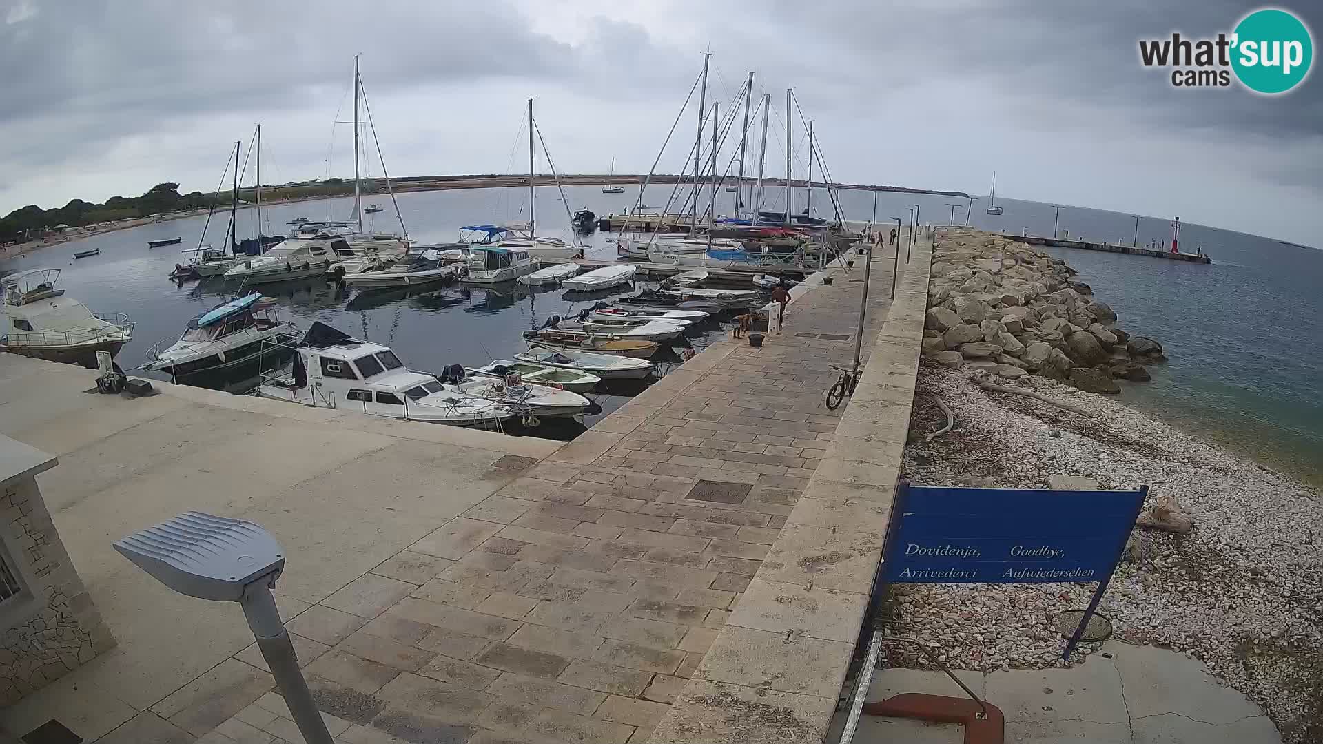 Webcam Isola di Unije – Esplora la bellezza della gemma nascosta della Croazia