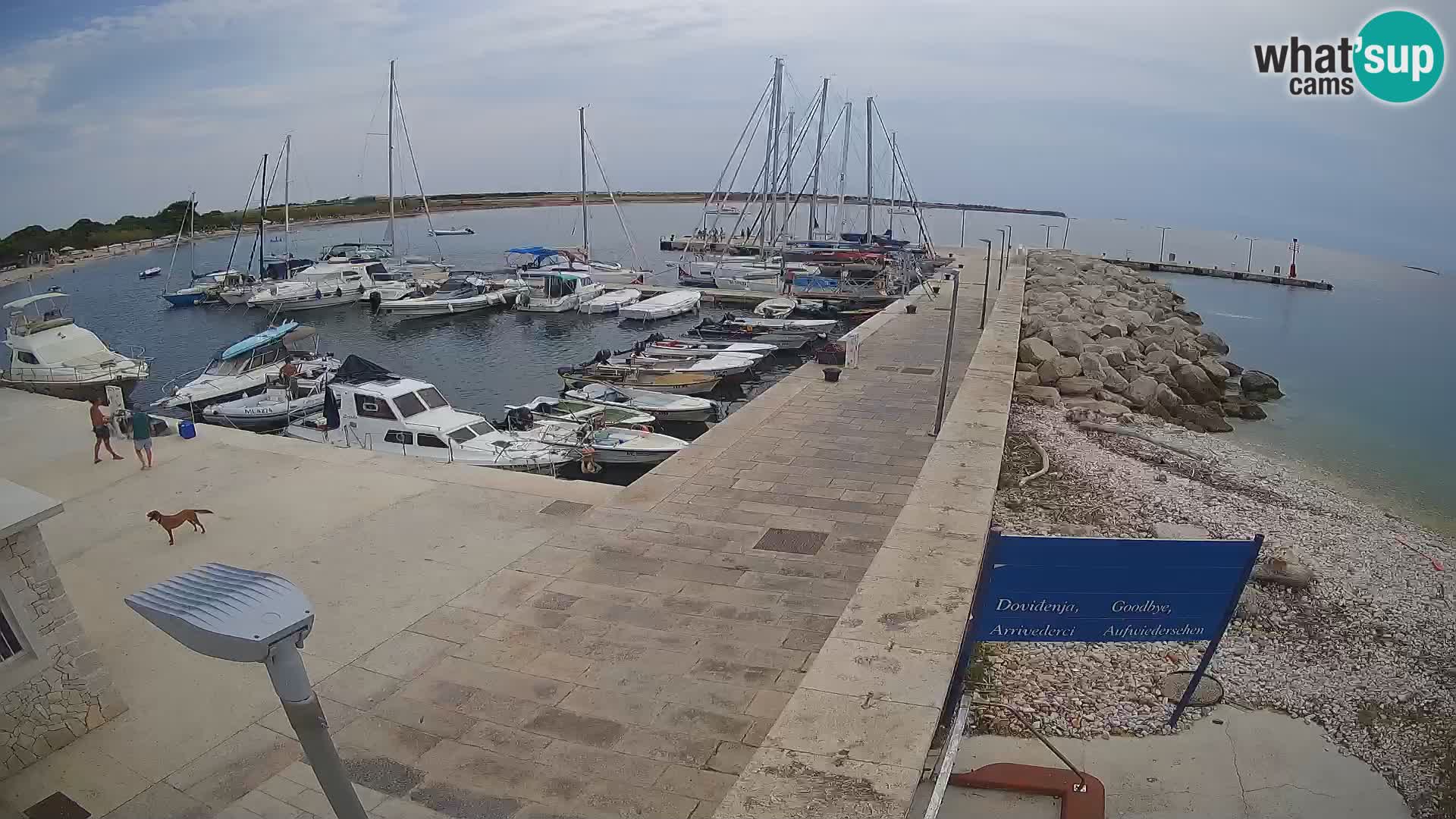 Webcam de l’île d’Unije – Explorez la beauté du joyau caché de la Croatie