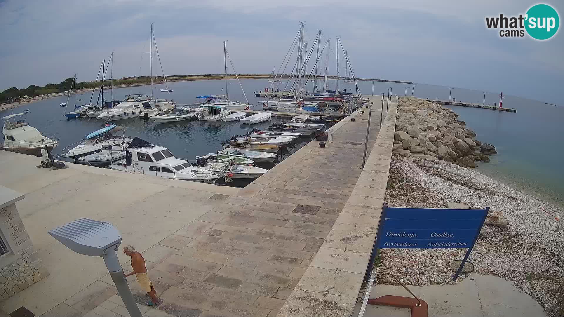 Webcam de l’île d’Unije – Explorez la beauté du joyau caché de la Croatie