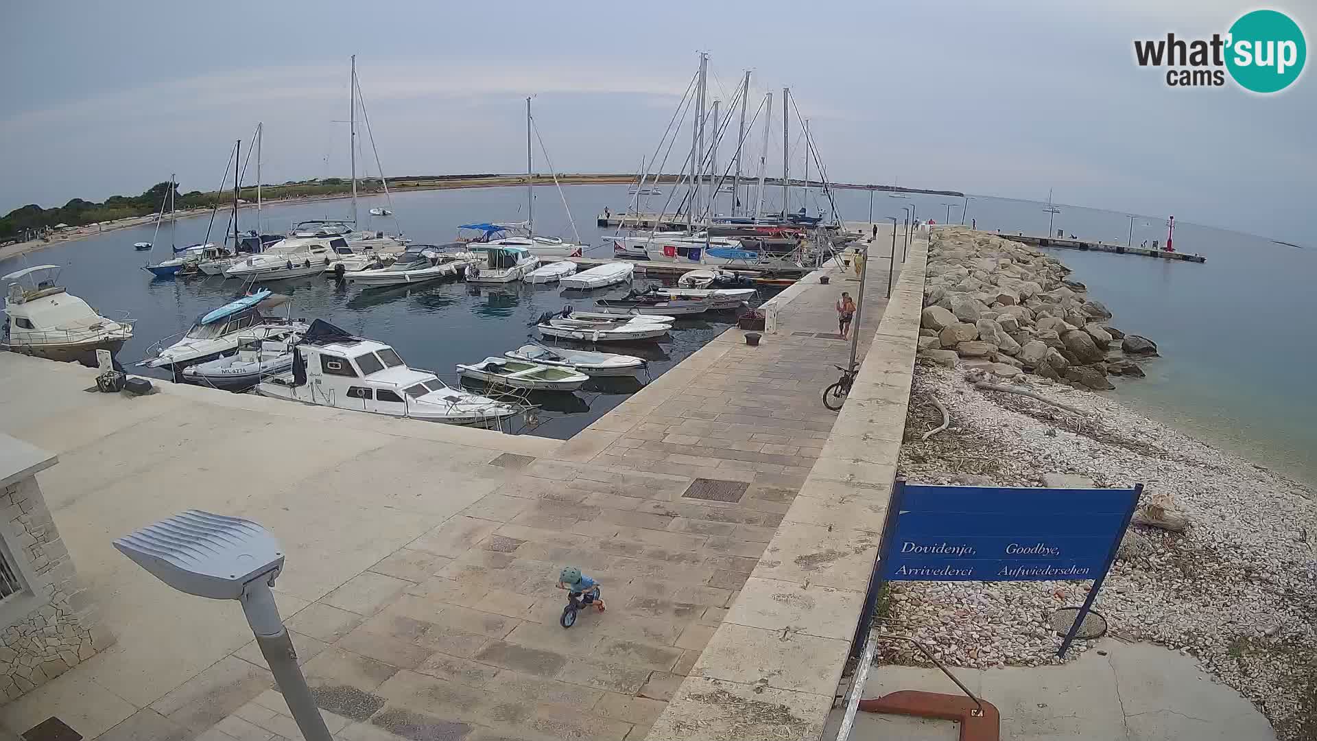 Insel Unije Webcam – Entdecken Sie die Schönheit von Kroatiens verstecktem Juwel