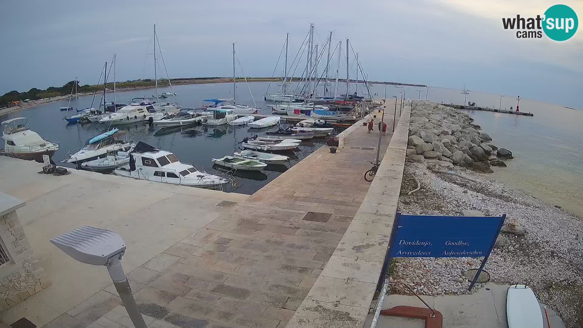 Cámara web de la isla de Unije: explore la belleza de la joya escondida de Croacia