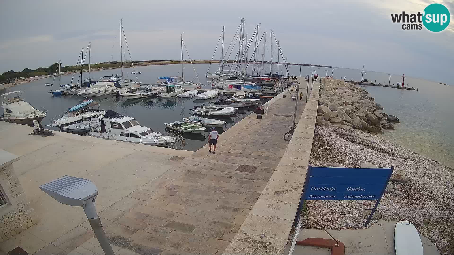 Webcam de l’île d’Unije – Explorez la beauté du joyau caché de la Croatie