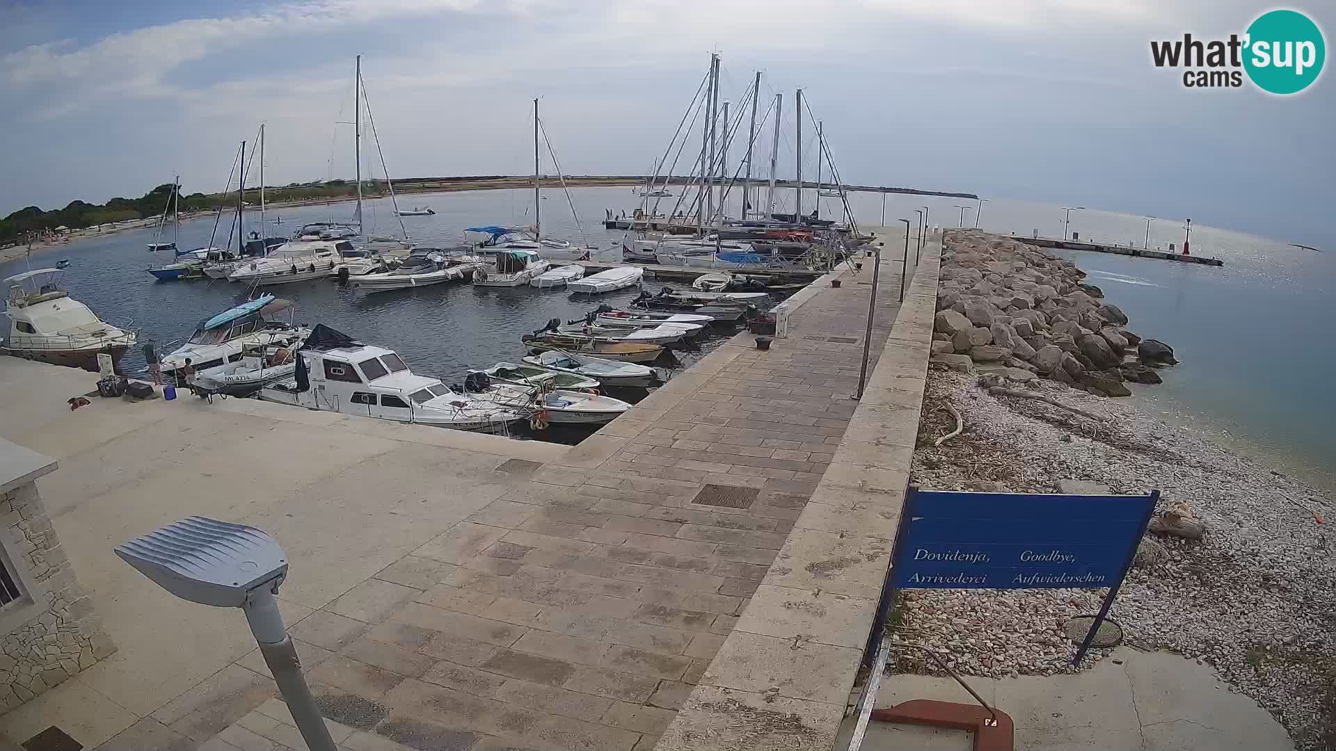 Cámara web de la isla de Unije: explore la belleza de la joya escondida de Croacia