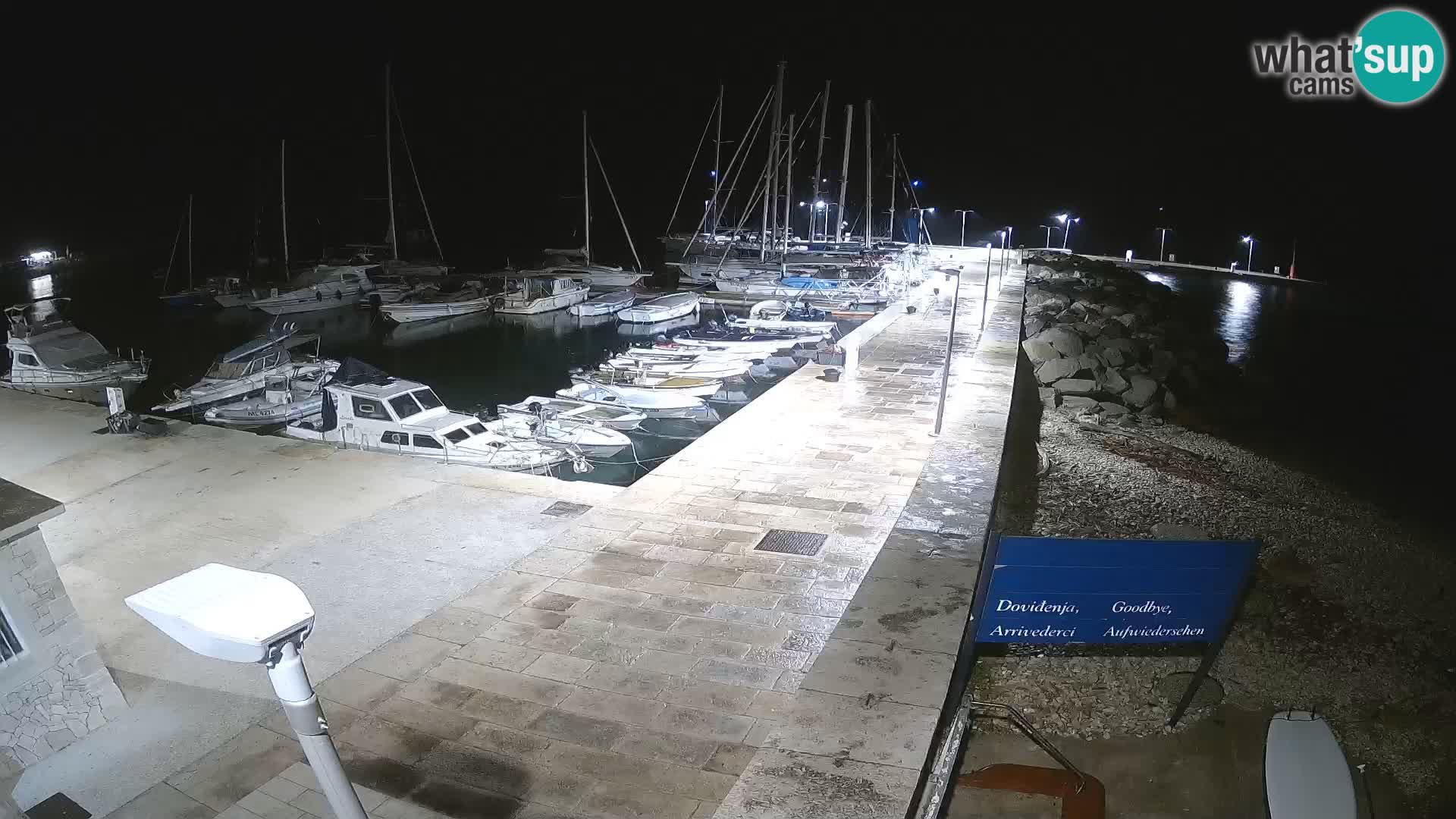 Cámara web de la isla de Unije: explore la belleza de la joya escondida de Croacia