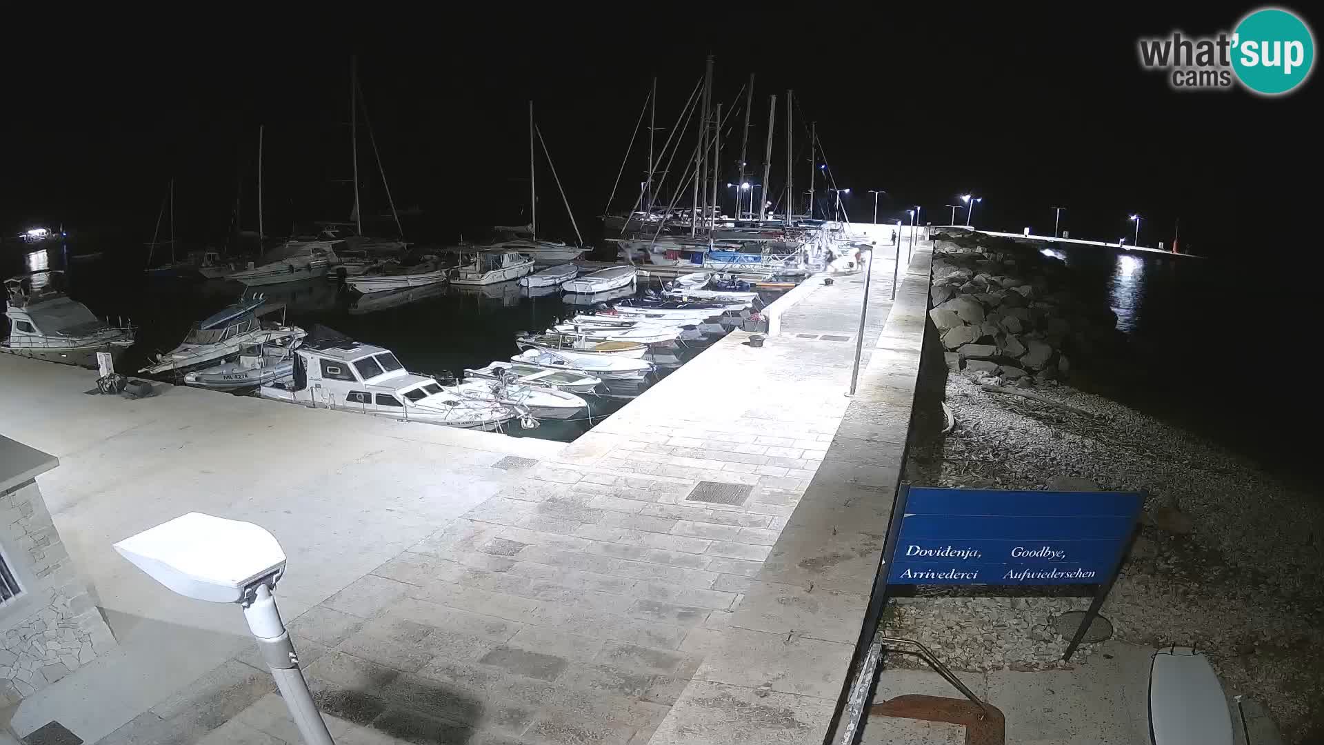Cámara web de la isla de Unije: explore la belleza de la joya escondida de Croacia