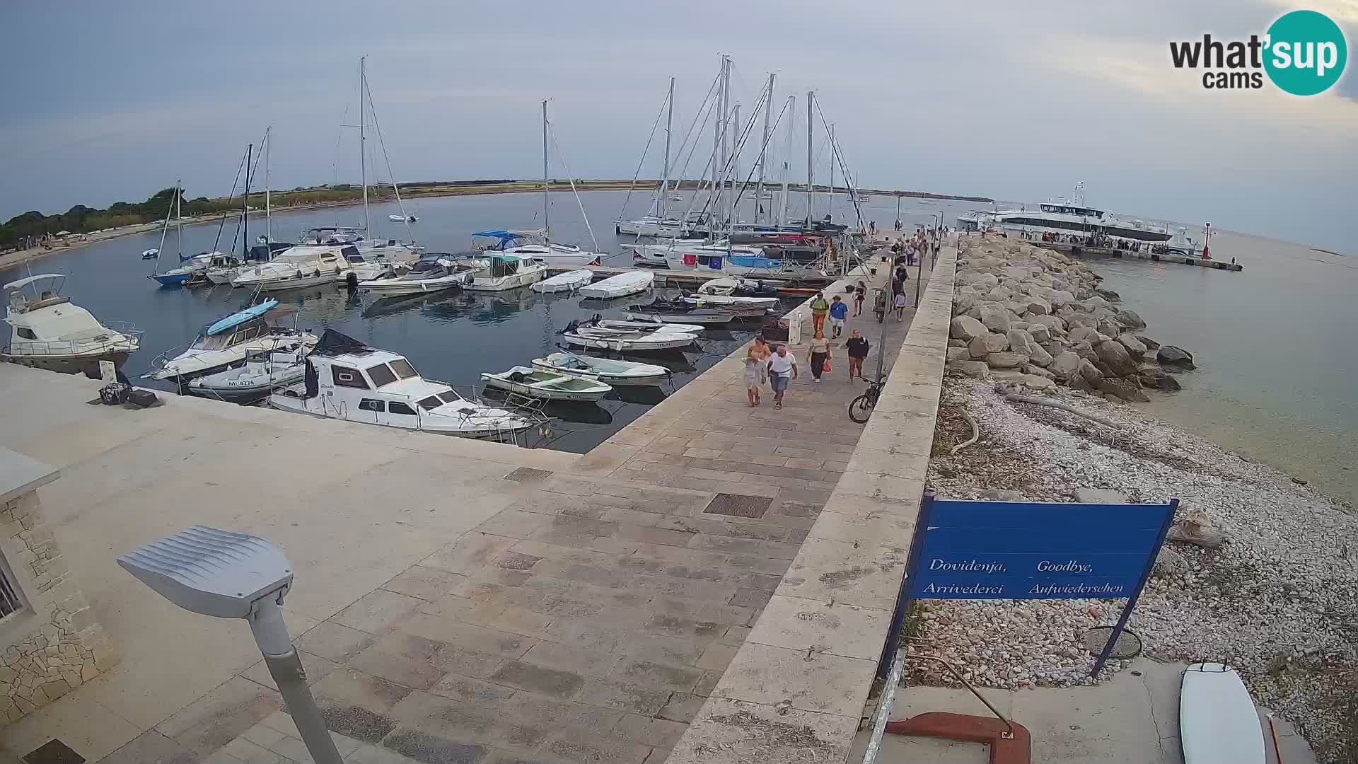 Cámara web de la isla de Unije: explore la belleza de la joya escondida de Croacia