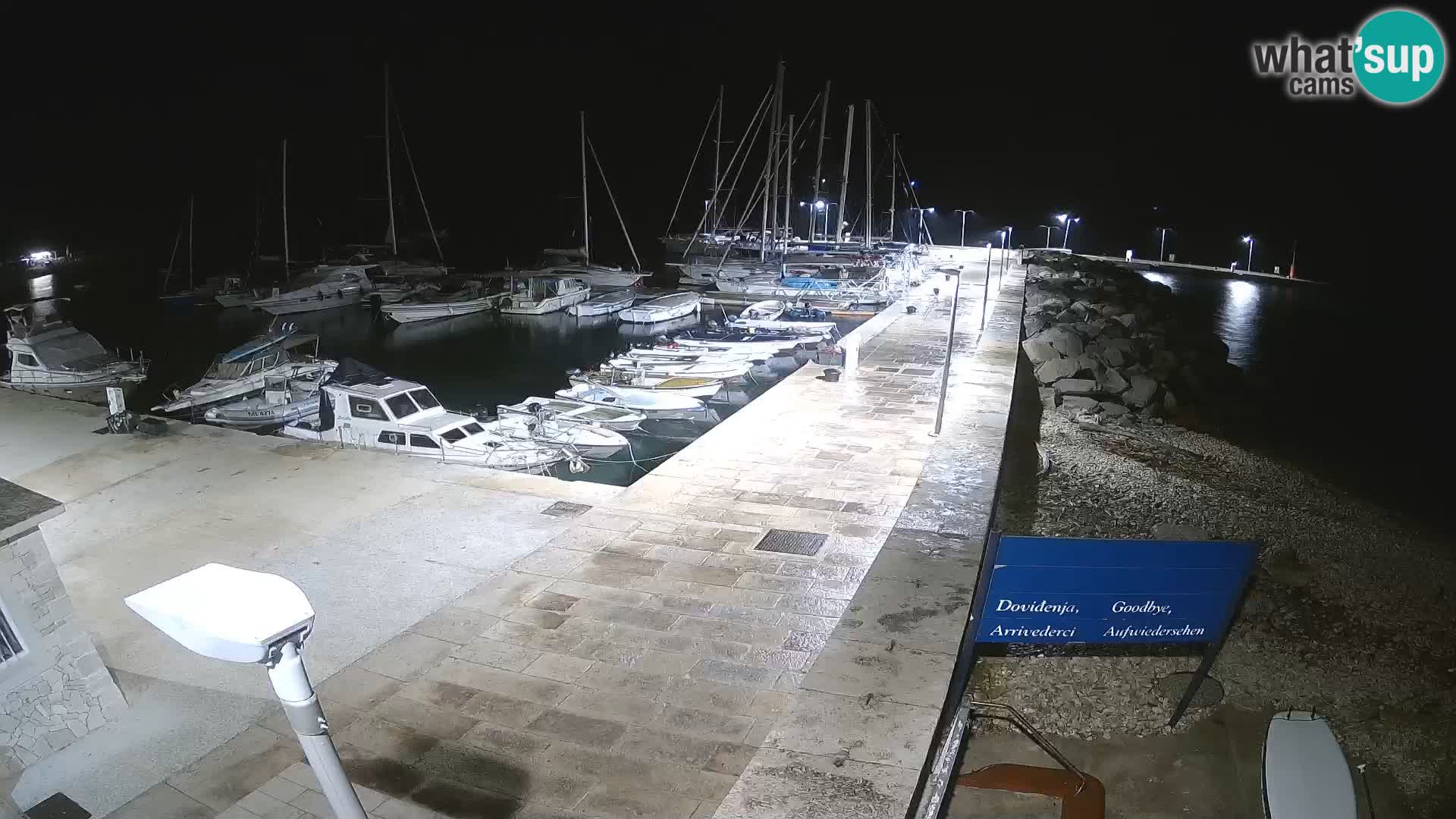 Cámara web de la isla de Unije: explore la belleza de la joya escondida de Croacia