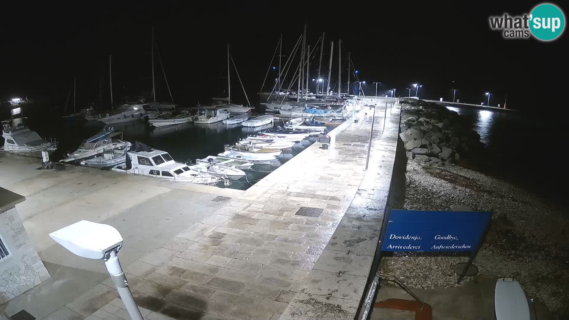 Spletna kamera otoka Unije – Raziščite lepoto skritega dragulja Hrvaške