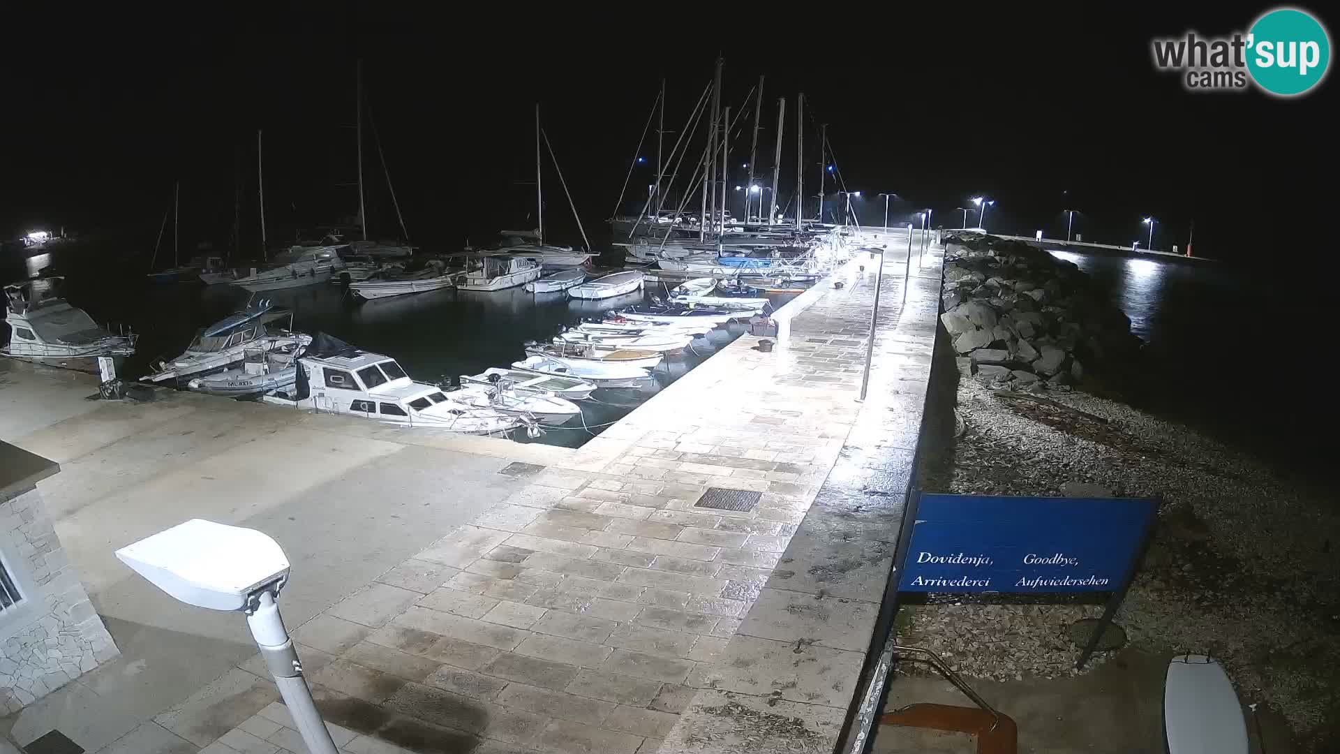 Unije Island Webcam – Explore the Beauty of Croatia’s Hidden Gem