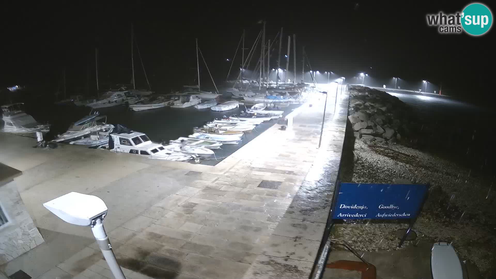 Cámara web de la isla de Unije: explore la belleza de la joya escondida de Croacia