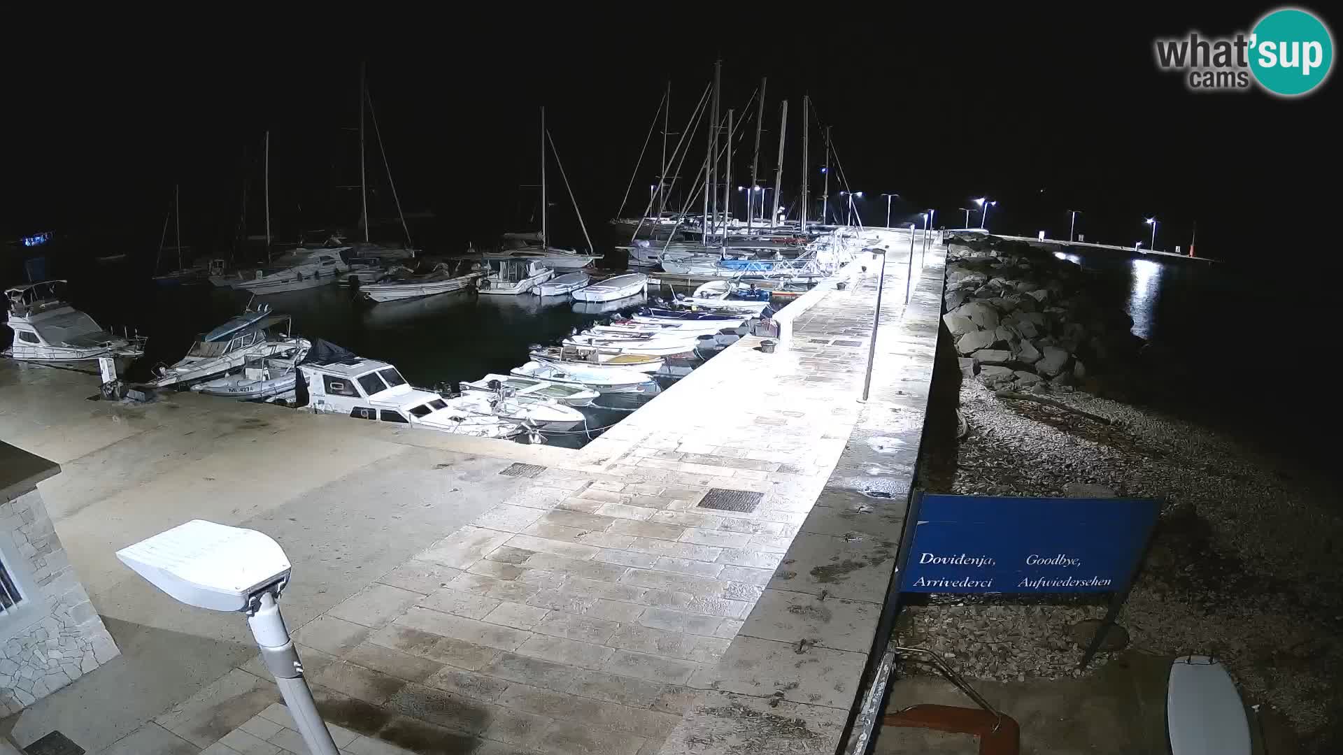 Cámara web de la isla de Unije: explore la belleza de la joya escondida de Croacia