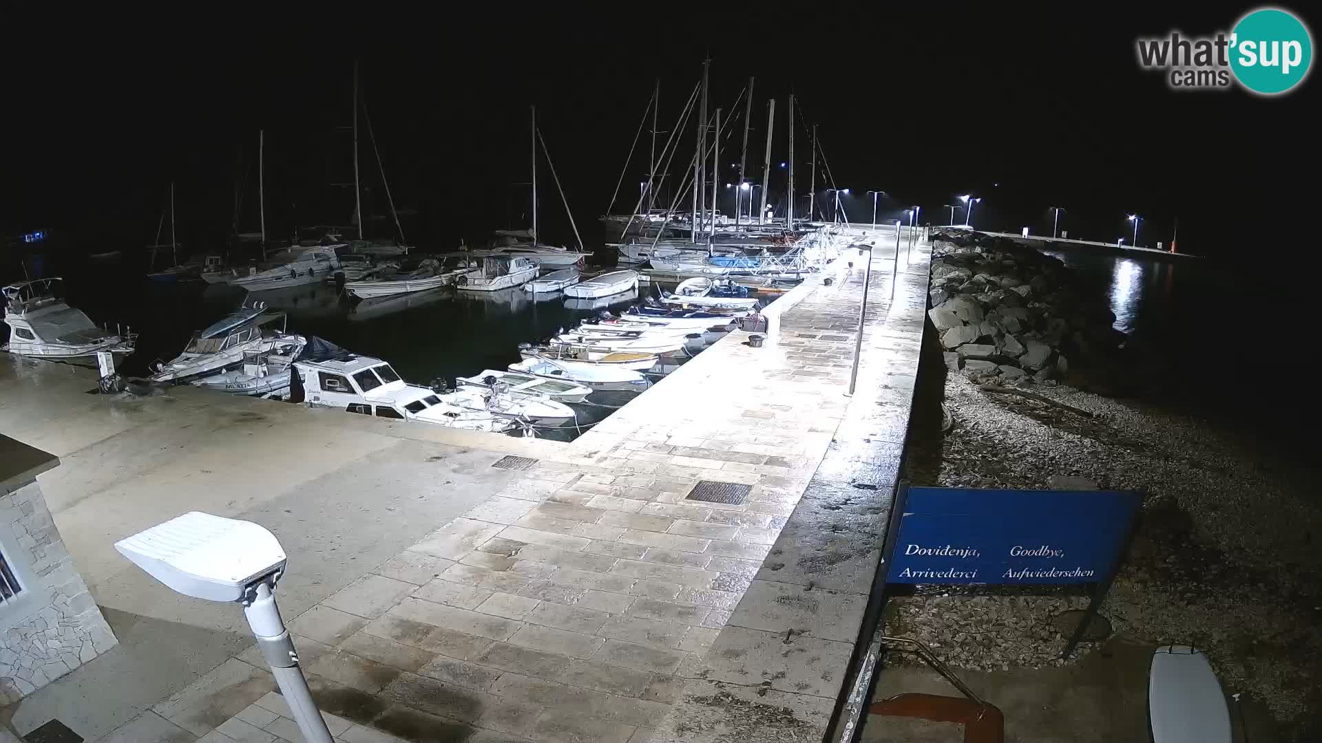 Webcam Isola di Unije – Esplora la bellezza della gemma nascosta della Croazia