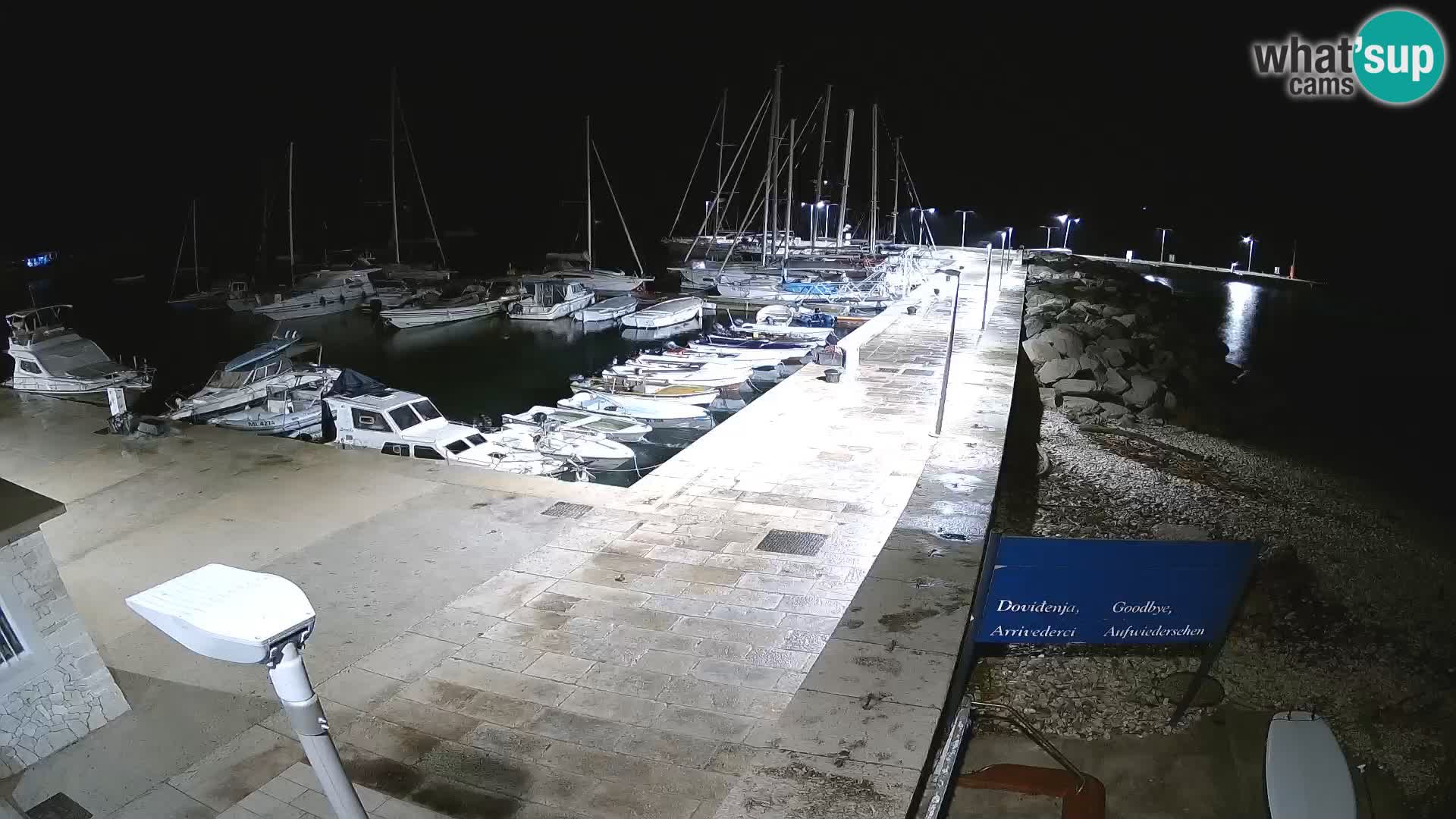 Webcam de l’île d’Unije – Explorez la beauté du joyau caché de la Croatie