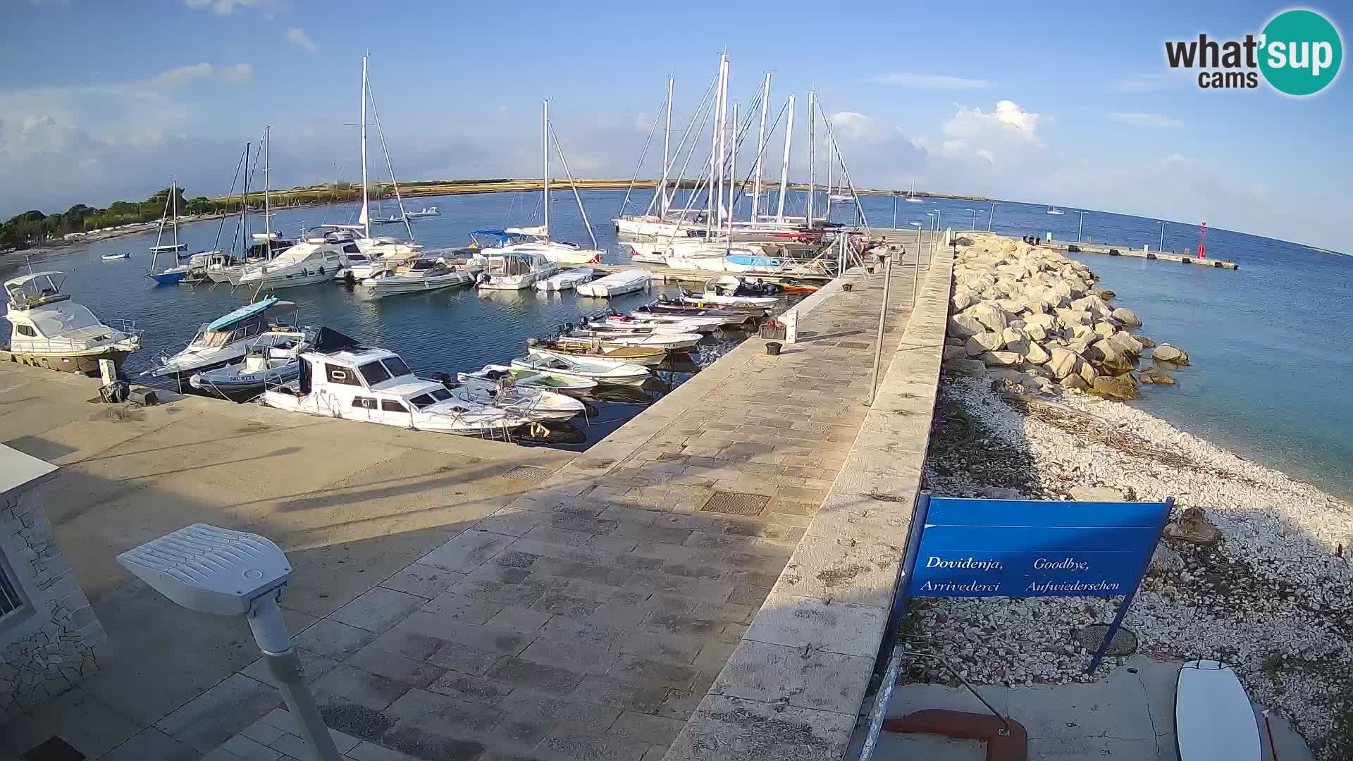 Webcam Isola di Unije – Esplora la bellezza della gemma nascosta della Croazia
