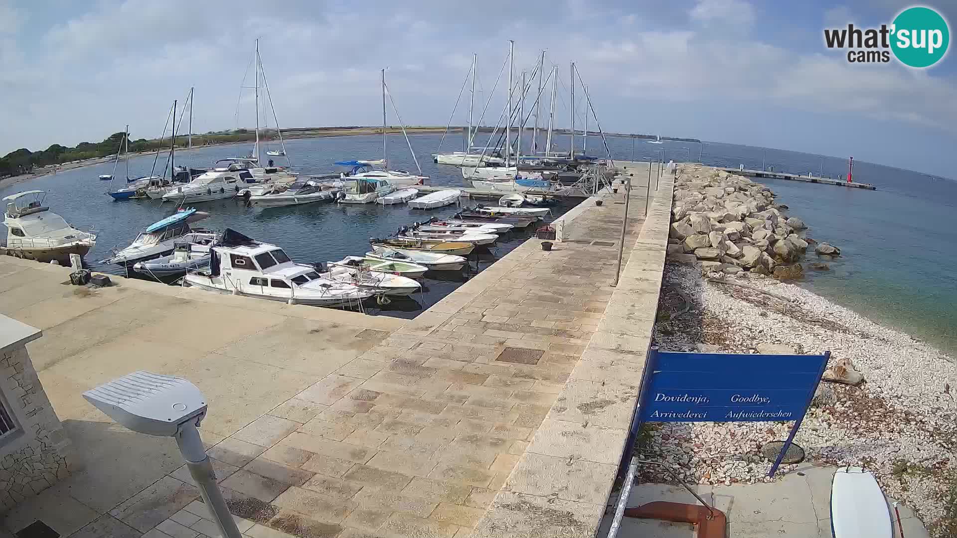 Cámara web de la isla de Unije: explore la belleza de la joya escondida de Croacia