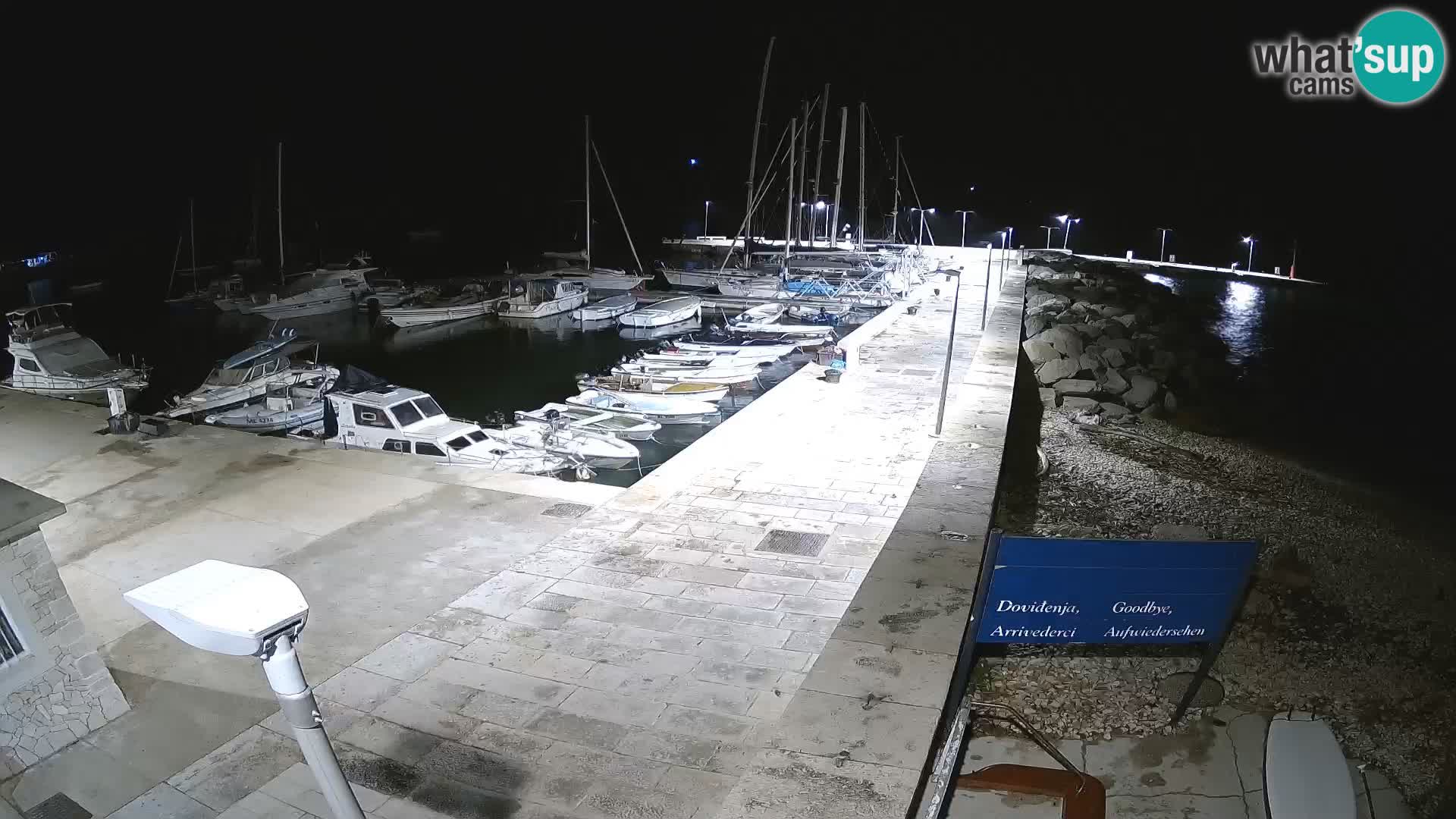 Webcam Isola di Unije – Esplora la bellezza della gemma nascosta della Croazia