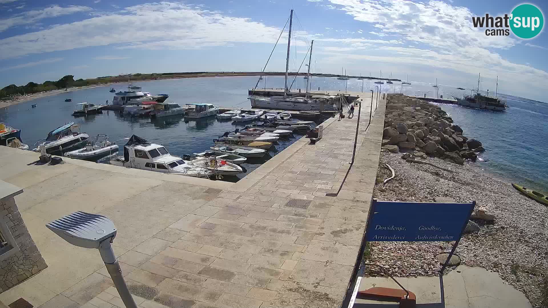 Cámara web de la isla de Unije: explore la belleza de la joya escondida de Croacia