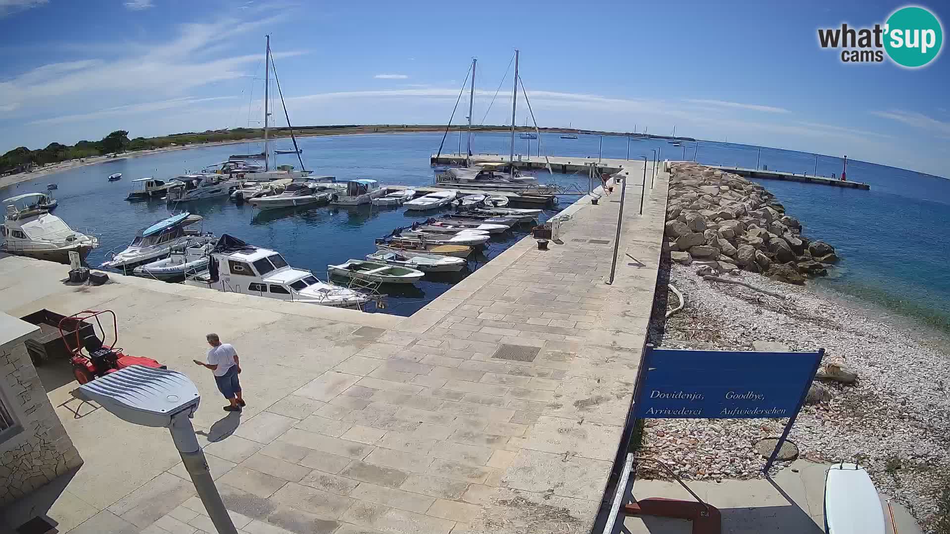 Webcam de l’île d’Unije – Explorez la beauté du joyau caché de la Croatie
