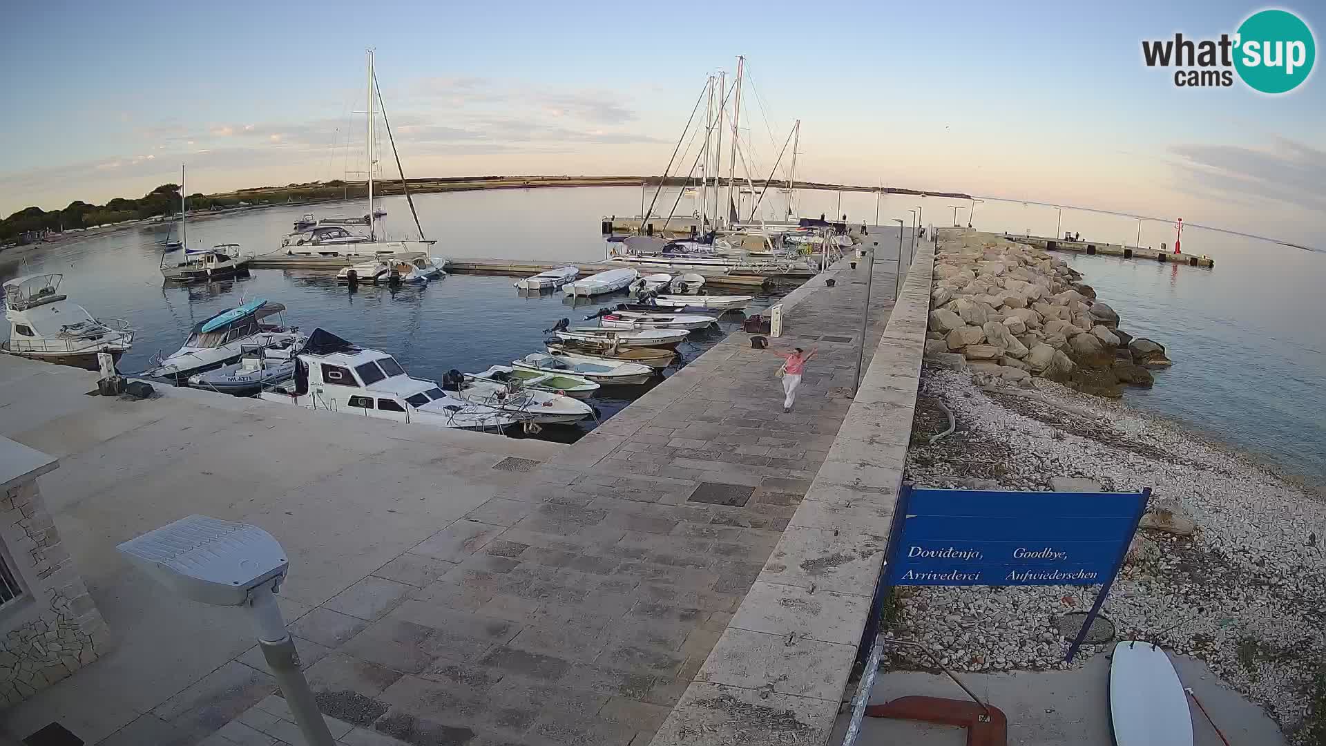 Cámara web de la isla de Unije: explore la belleza de la joya escondida de Croacia
