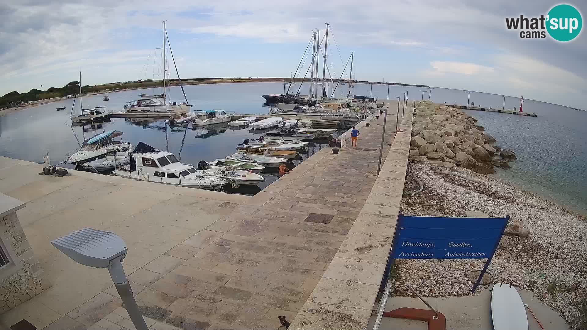 Webcam Isola di Unije – Esplora la bellezza della gemma nascosta della Croazia