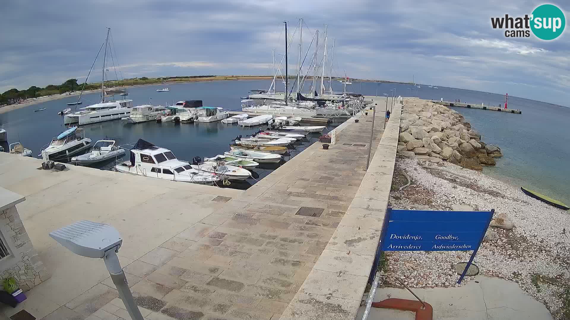 Cámara web de la isla de Unije: explore la belleza de la joya escondida de Croacia