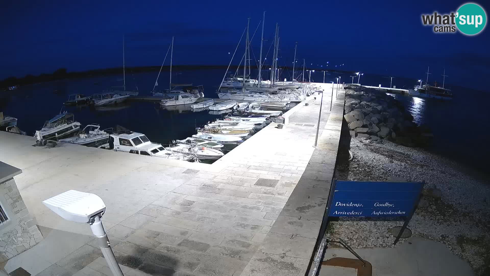 Webcam de l’île d’Unije – Explorez la beauté du joyau caché de la Croatie