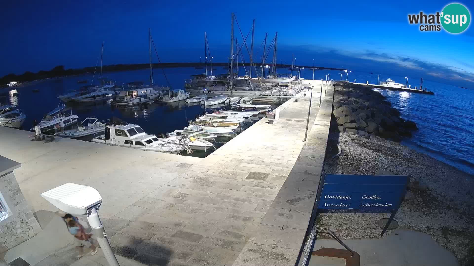 Cámara web de la isla de Unije: explore la belleza de la joya escondida de Croacia