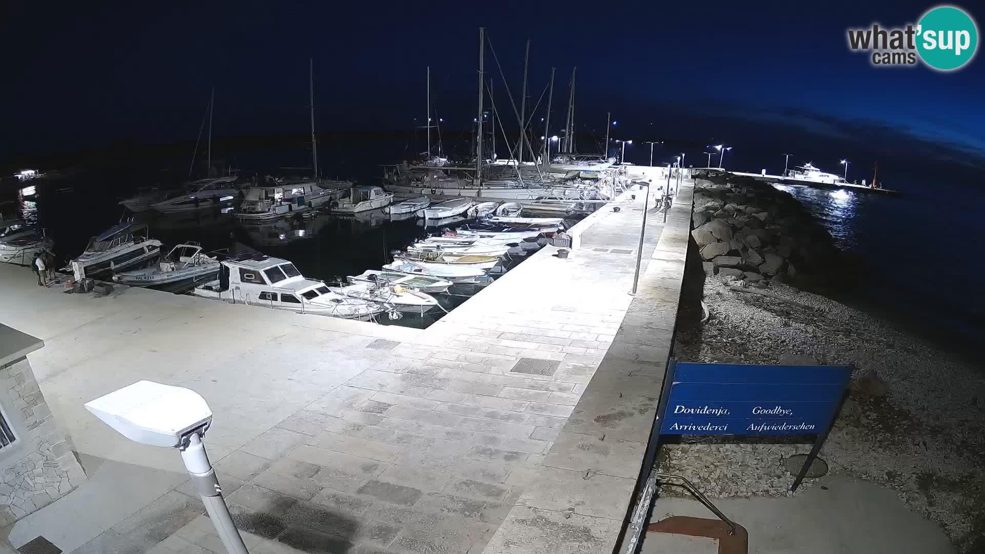 Webcam Isola di Unije – Esplora la bellezza della gemma nascosta della Croazia