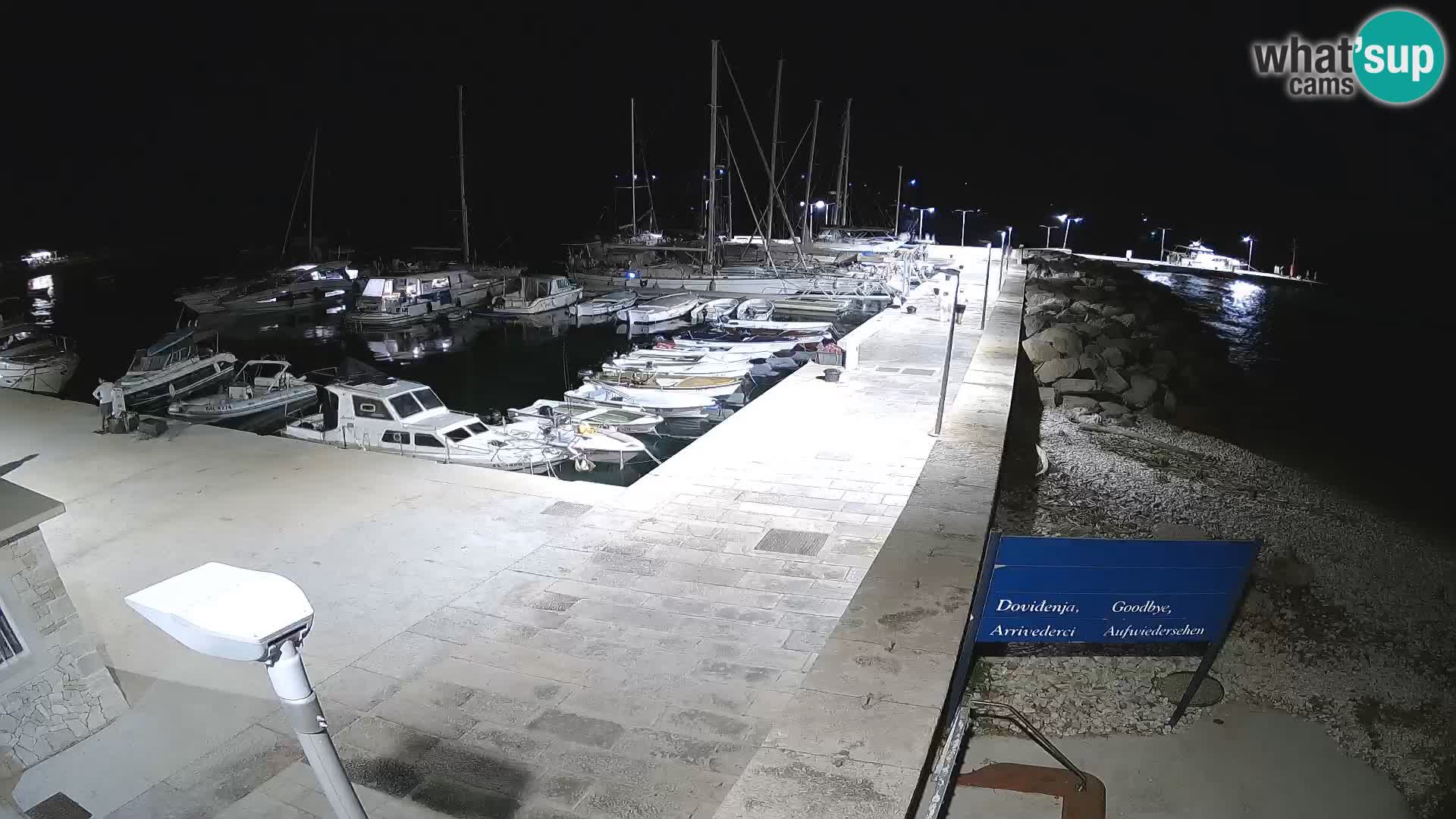Insel Unije Webcam – Entdecken Sie die Schönheit von Kroatiens verstecktem Juwel