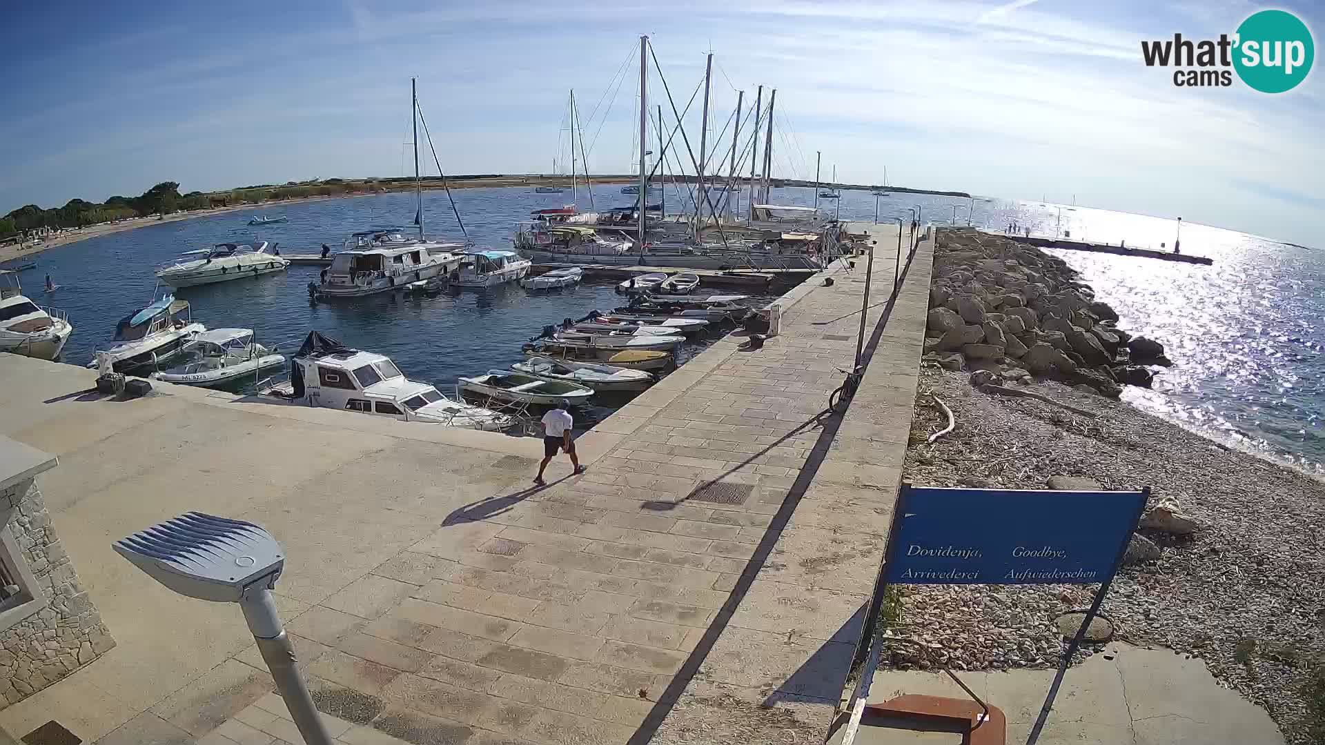 Cámara web de la isla de Unije: explore la belleza de la joya escondida de Croacia