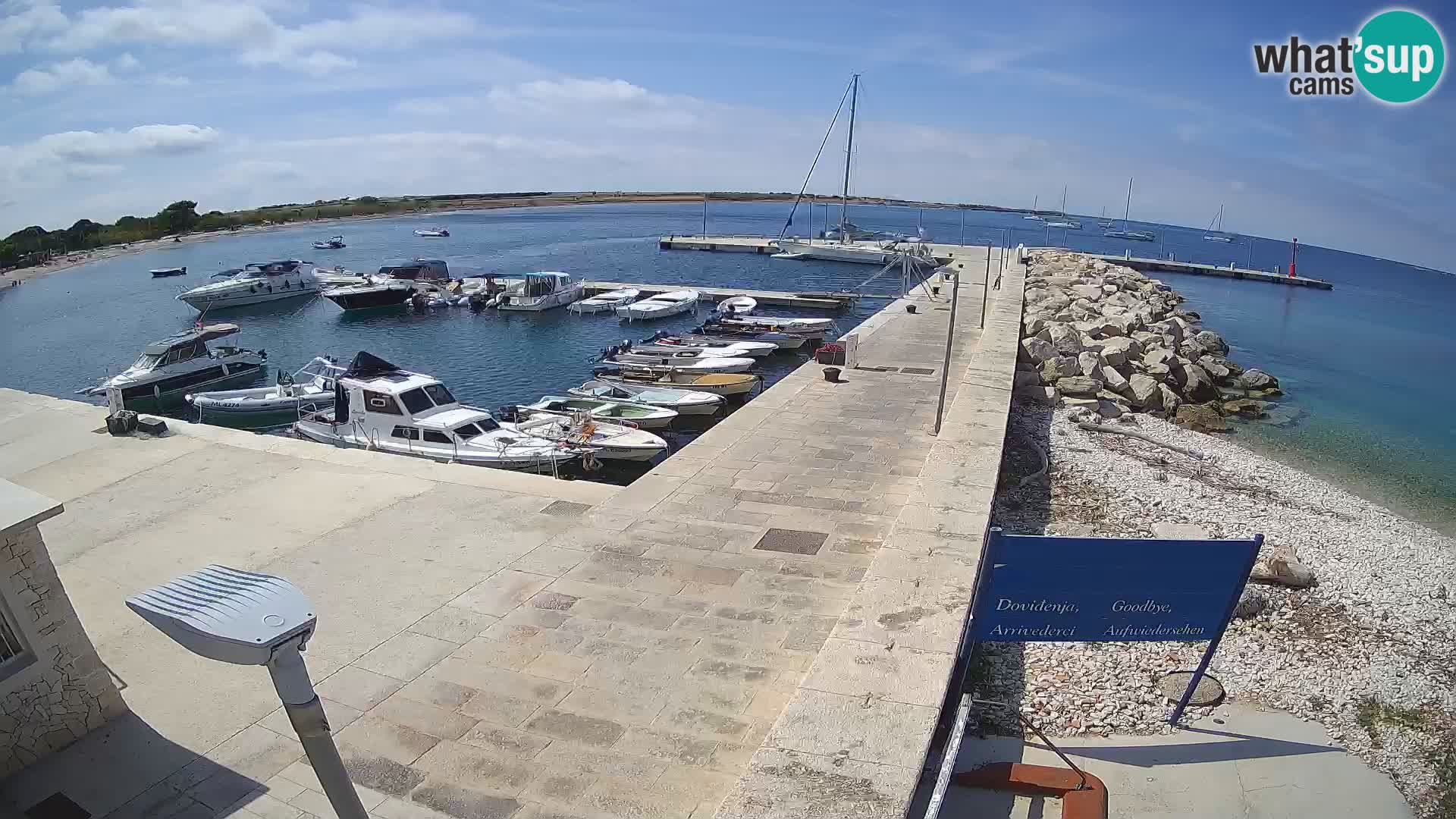 Cámara web de la isla de Unije: explore la belleza de la joya escondida de Croacia
