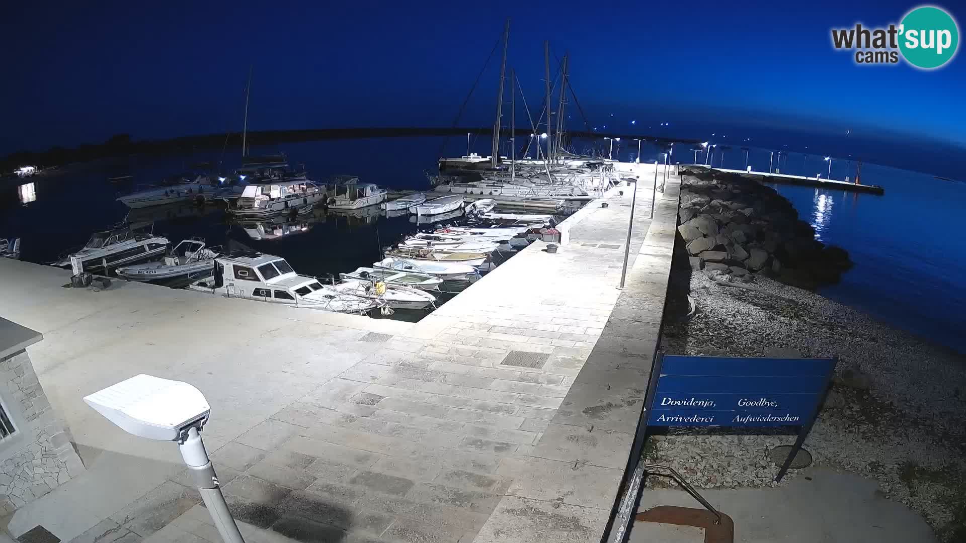 Webcam de l’île d’Unije – Explorez la beauté du joyau caché de la Croatie