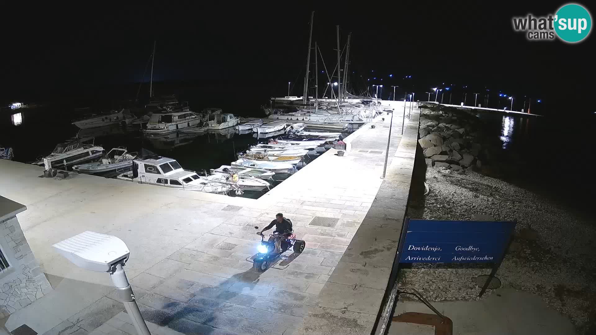 Cámara web de la isla de Unije: explore la belleza de la joya escondida de Croacia