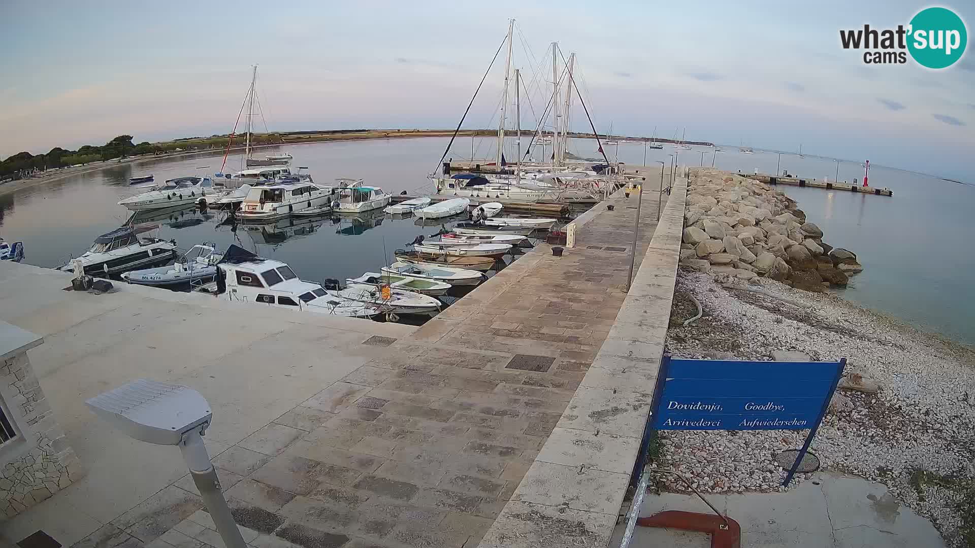 Cámara web de la isla de Unije: explore la belleza de la joya escondida de Croacia